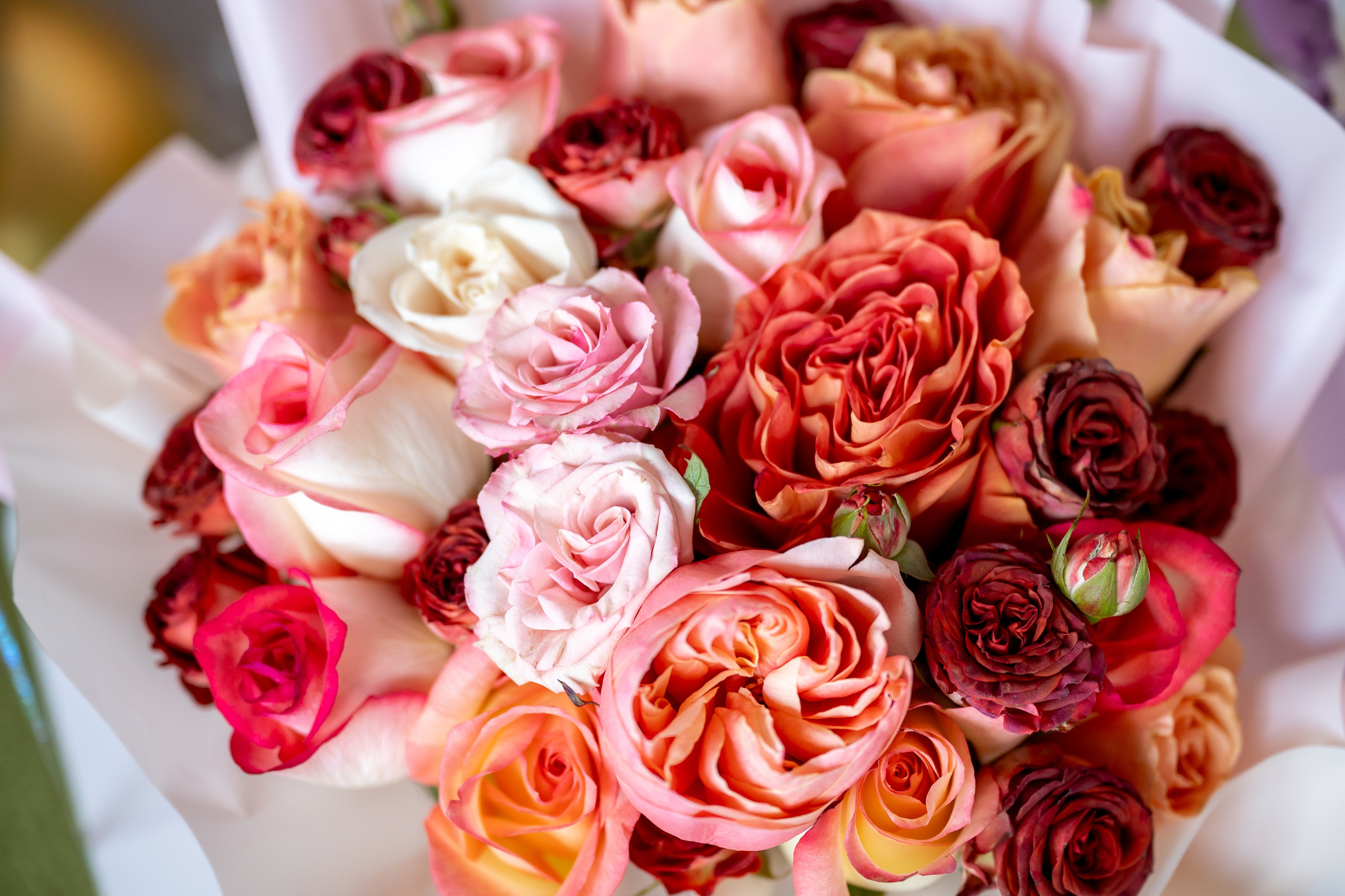 ДР в лофте с фокусником