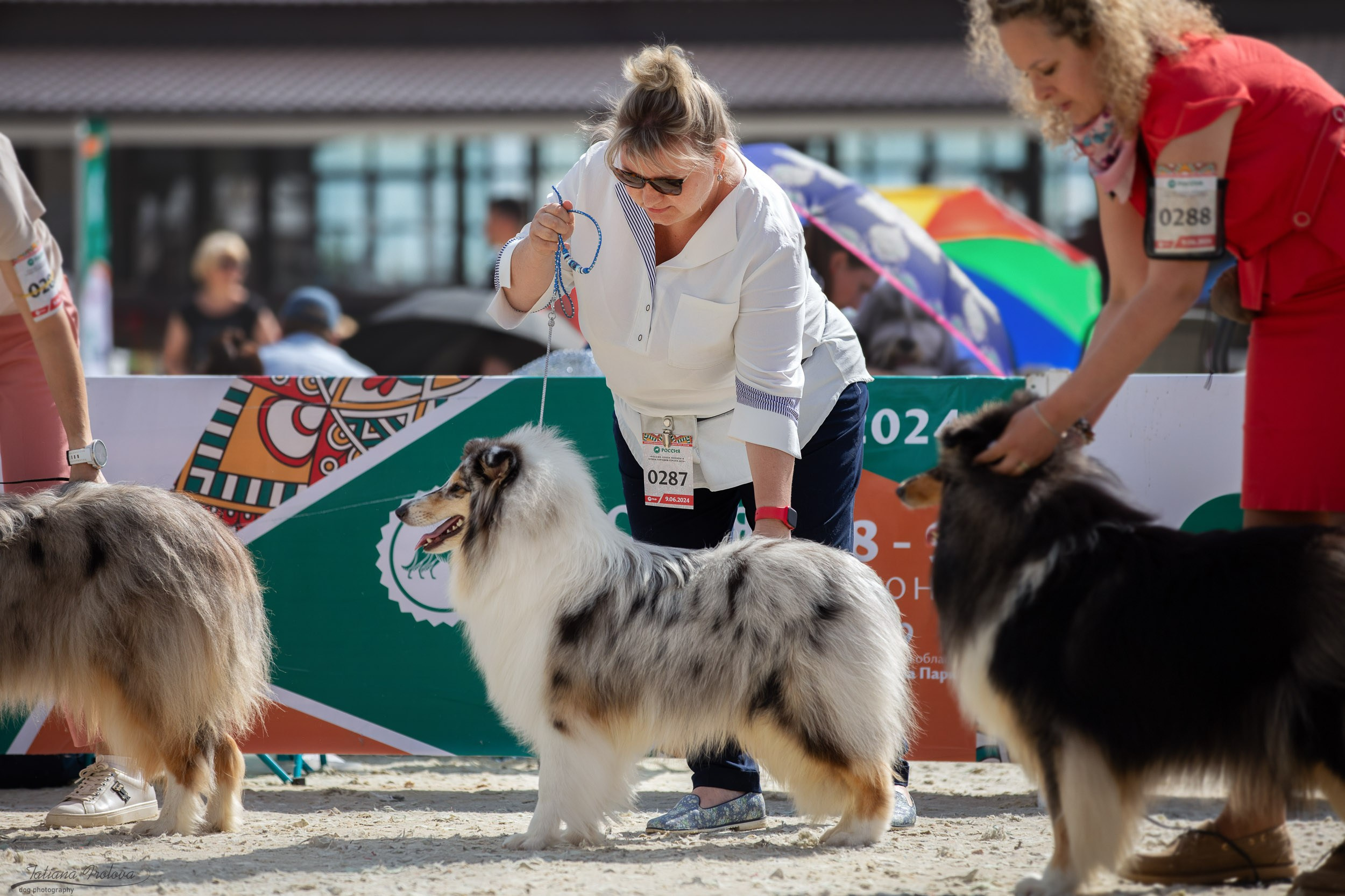 Репортаж с выставки Россия. Фотограф-анималист в Москве и Московской области Татьяна Фролова