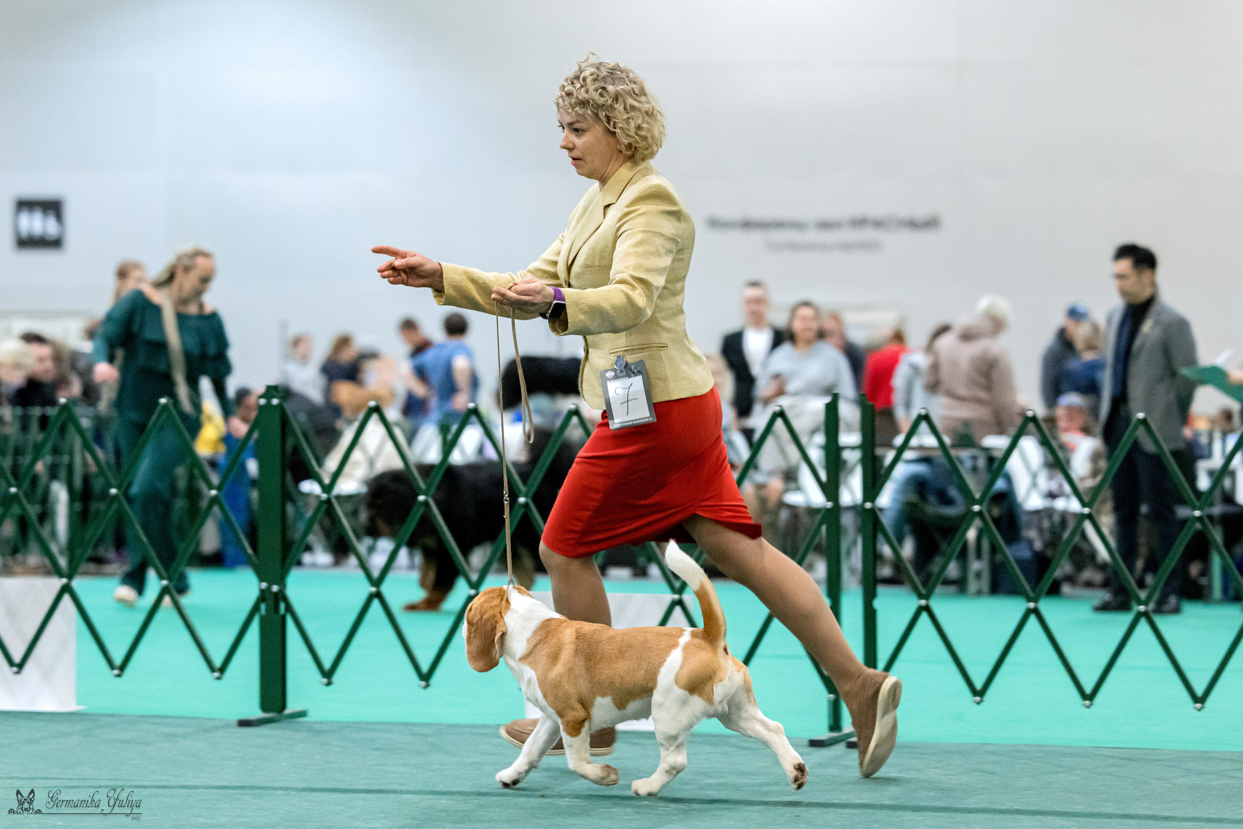 Сфера 29.10,Крокус 4.11,Сфера 12.11.2023. Фотограф-анималист Юлия Германика