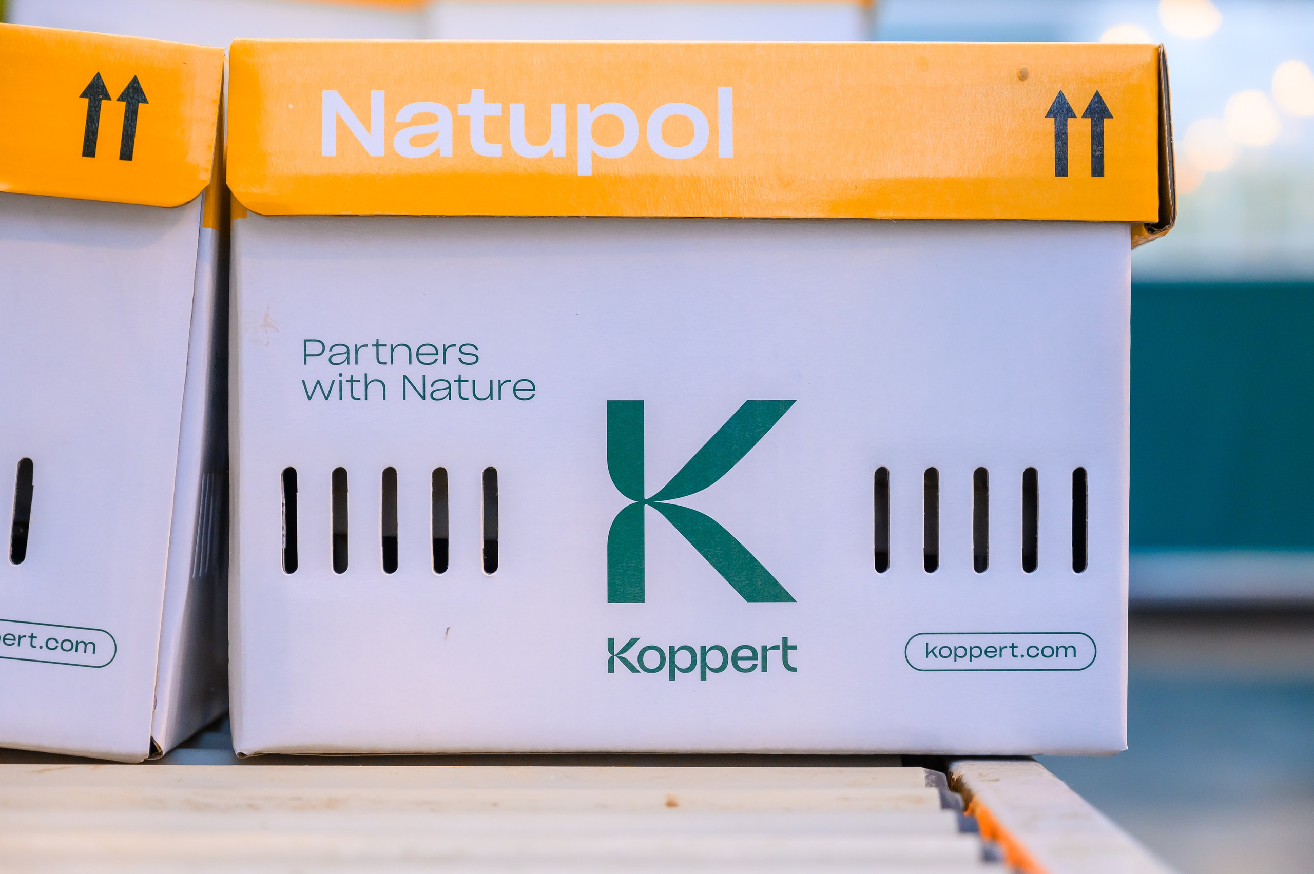 Тепличный комплекс «ПЕРМСКИЙ»