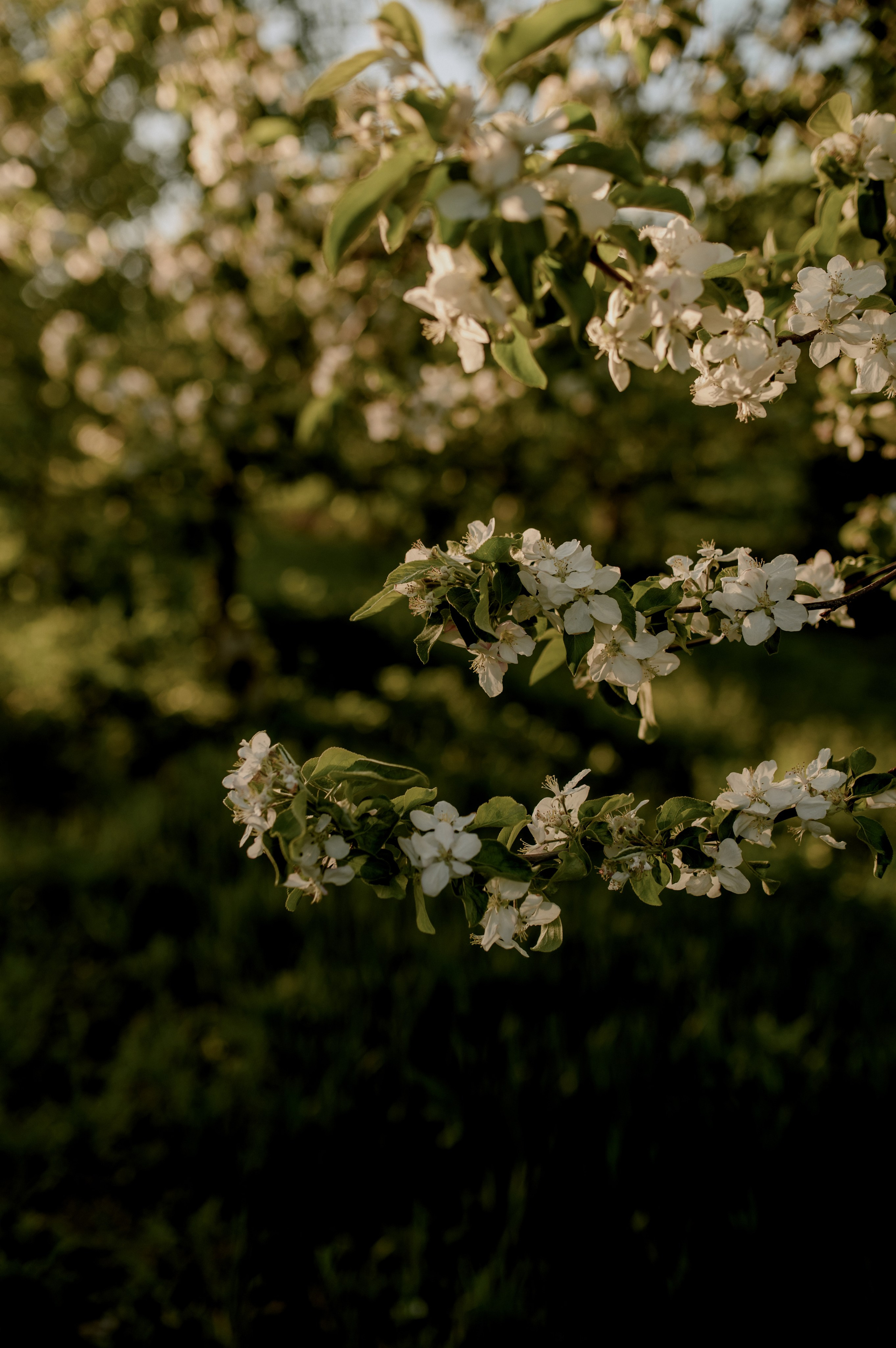 Майя и Рита. Фотограф Мария Стрелкова