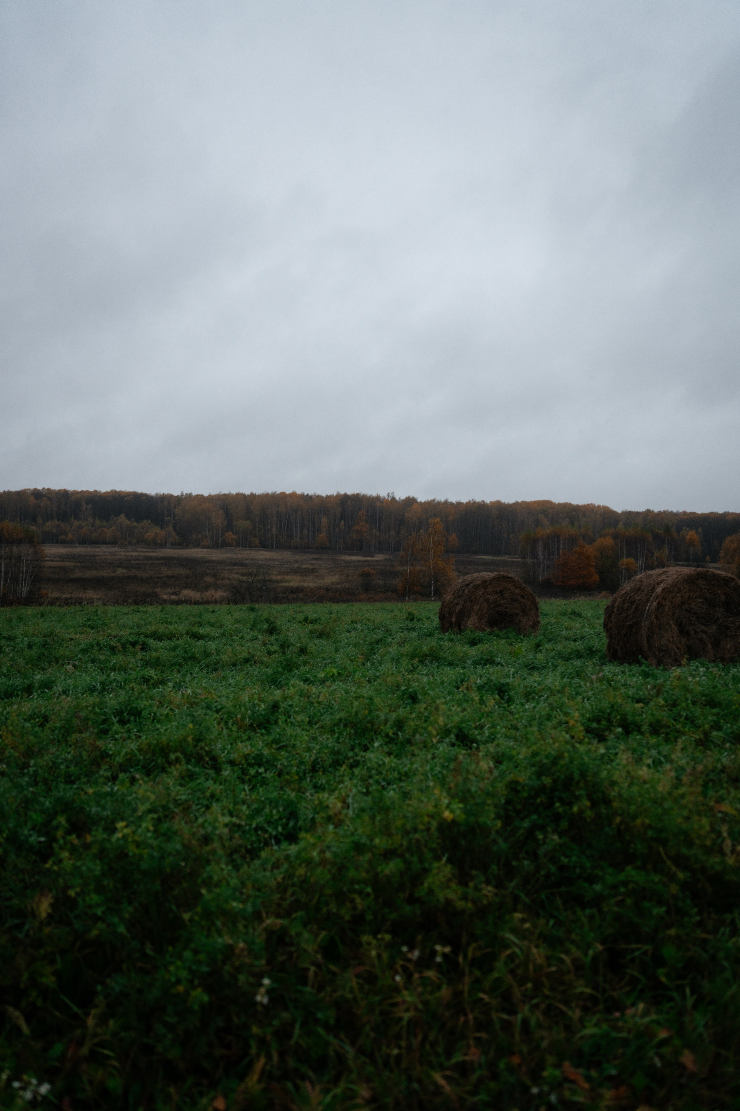 Деревня Китаево. Vlad Trykov