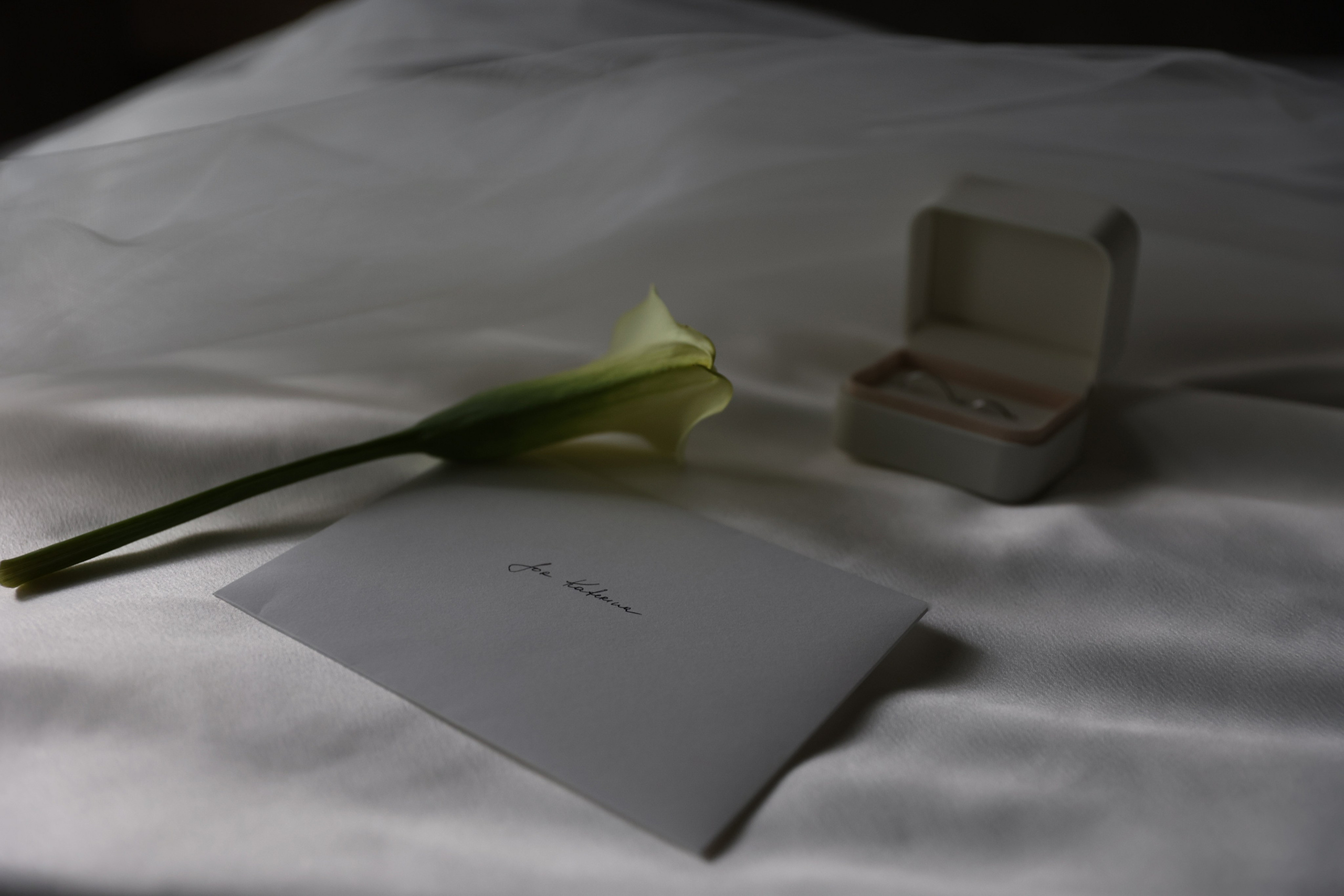 Сергей и Екатерина. Свадебные фотограф и видеограф в Минске Голдосовы Марина и Вадим