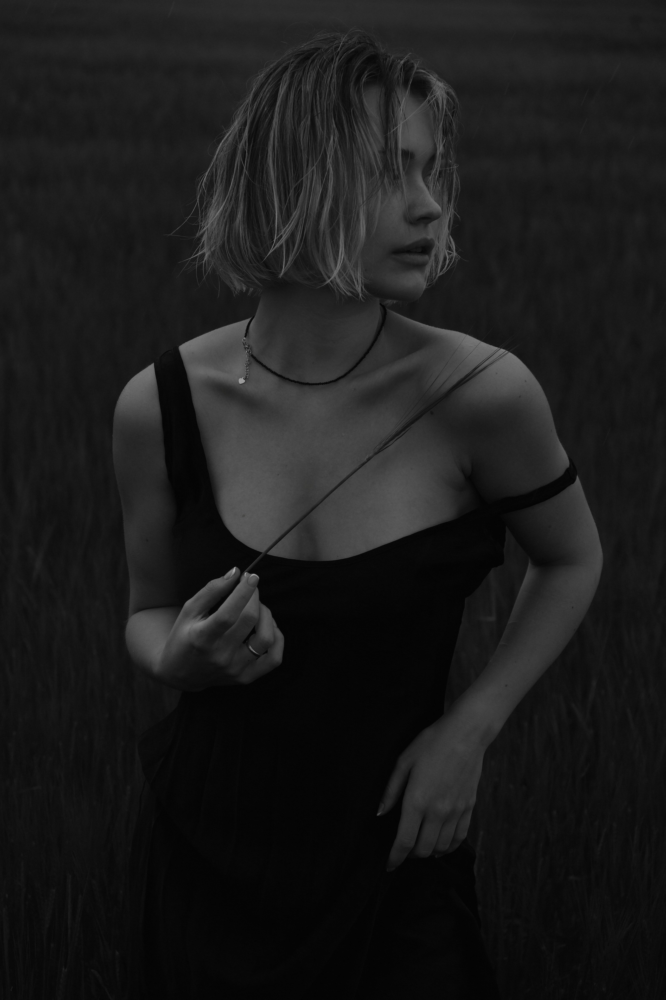 Шанси. ФОТОГРАФ ssbelova