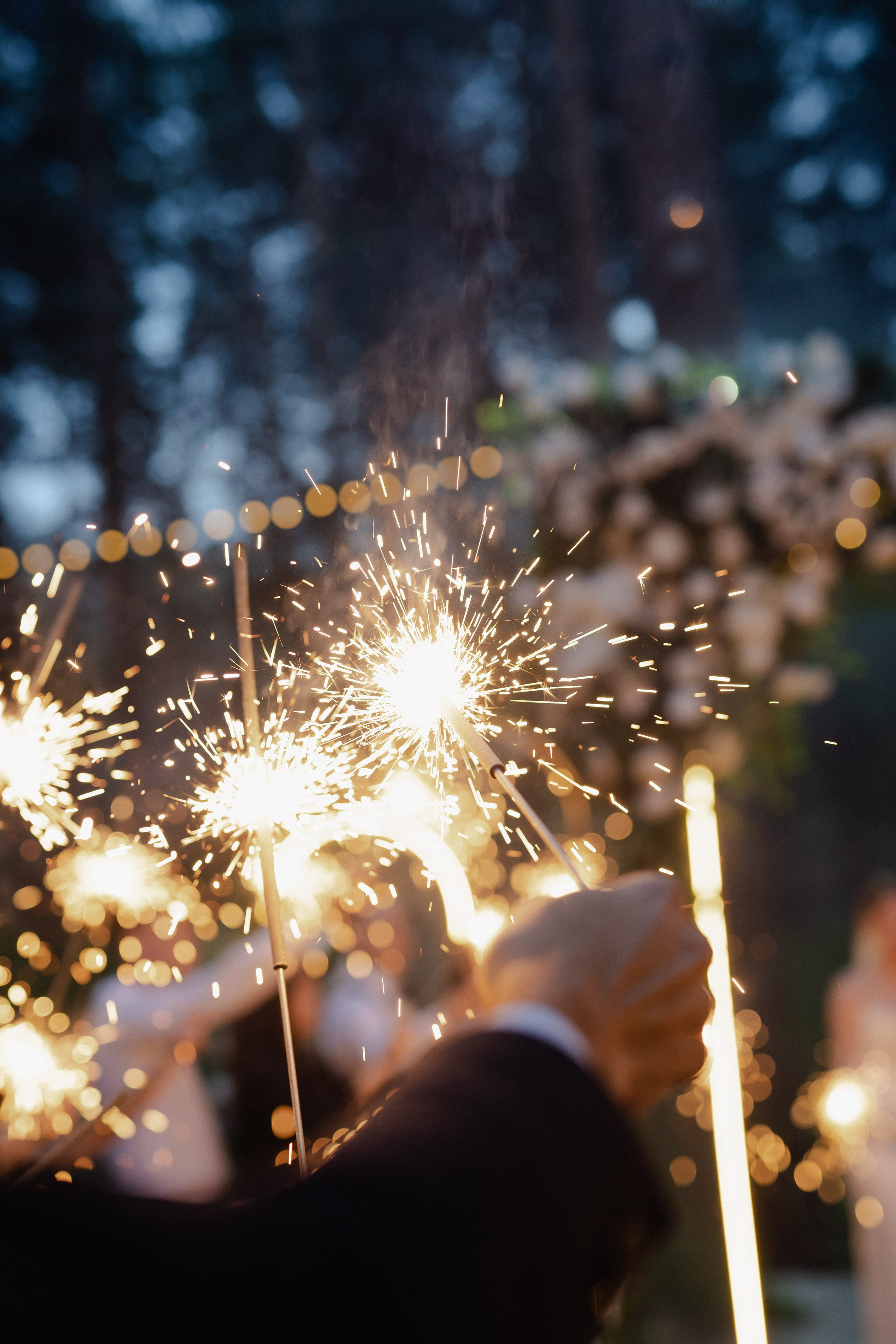 Екатерина и Никита. Свадьба в Шатре. Фотограф Аля Овчарова
