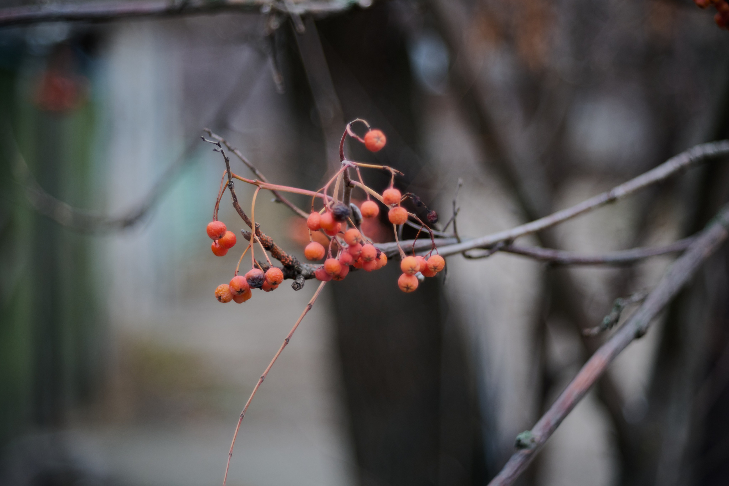 Лисичанск. Луганская область. Фотопроект «Территории»