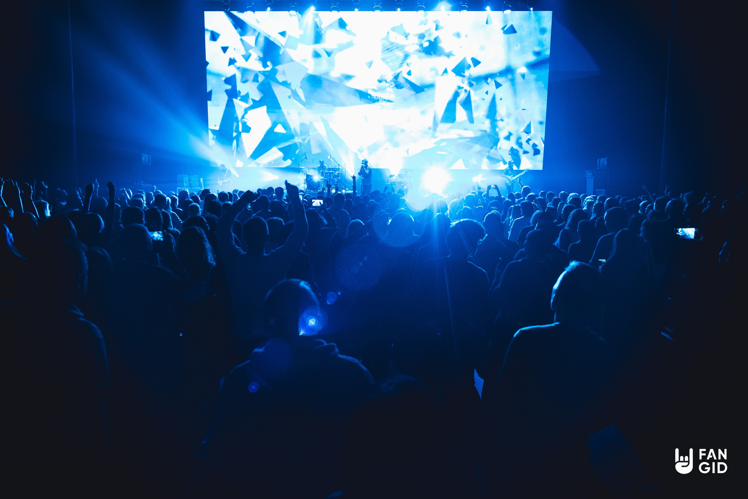 КОНЦЕРТ. Репортажный фотограф Наталья Лапцевич