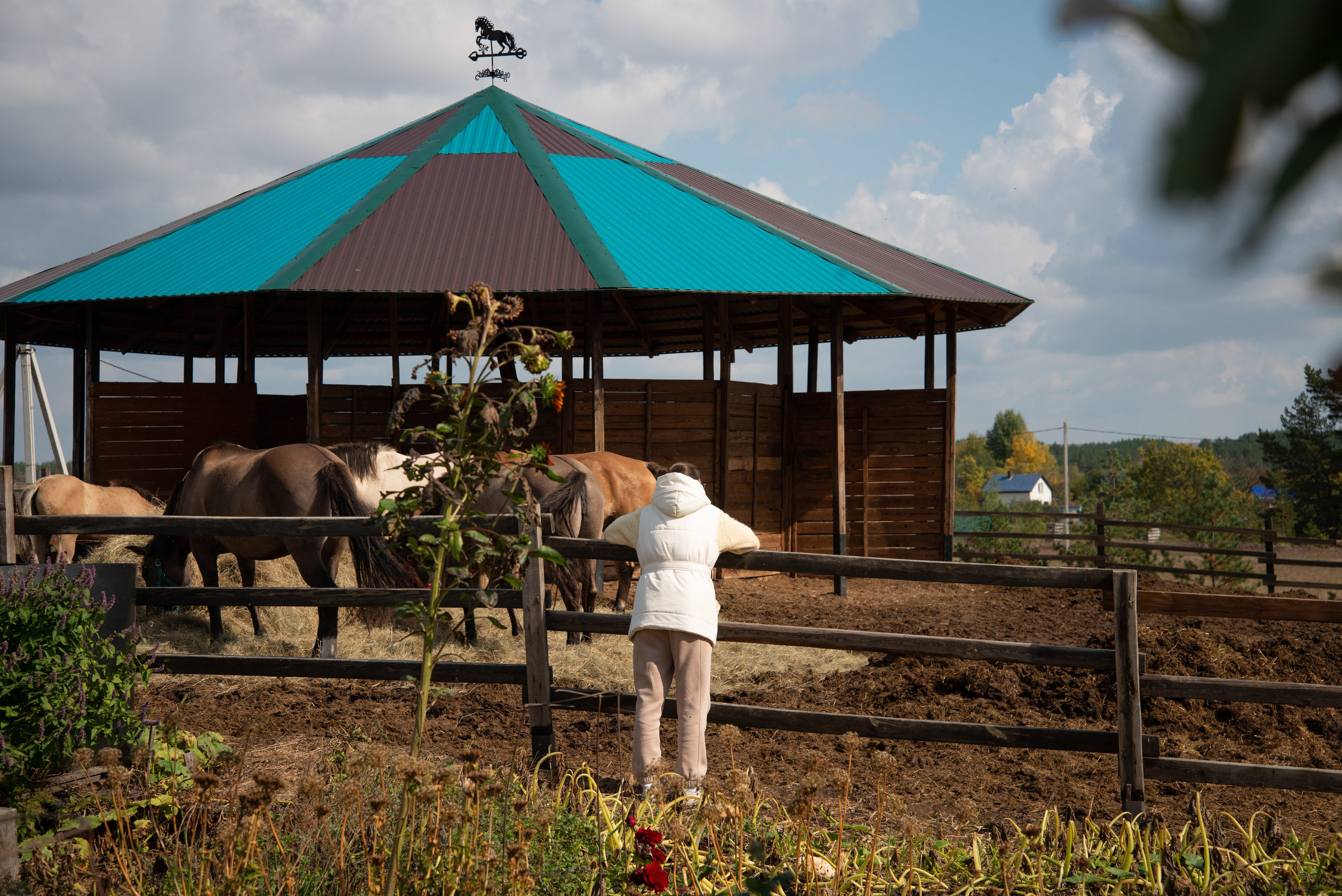 Гости в Родославном. Конный фотограф в Саратове Юлия Иванова