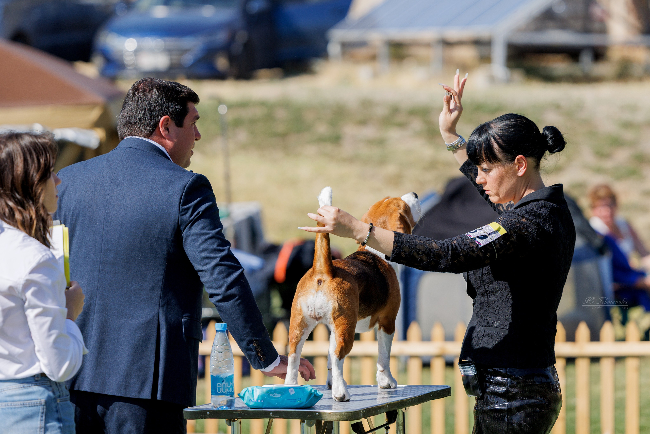 Ереван 14-16.10.2025. Фотограф-анималист Юлия Германика