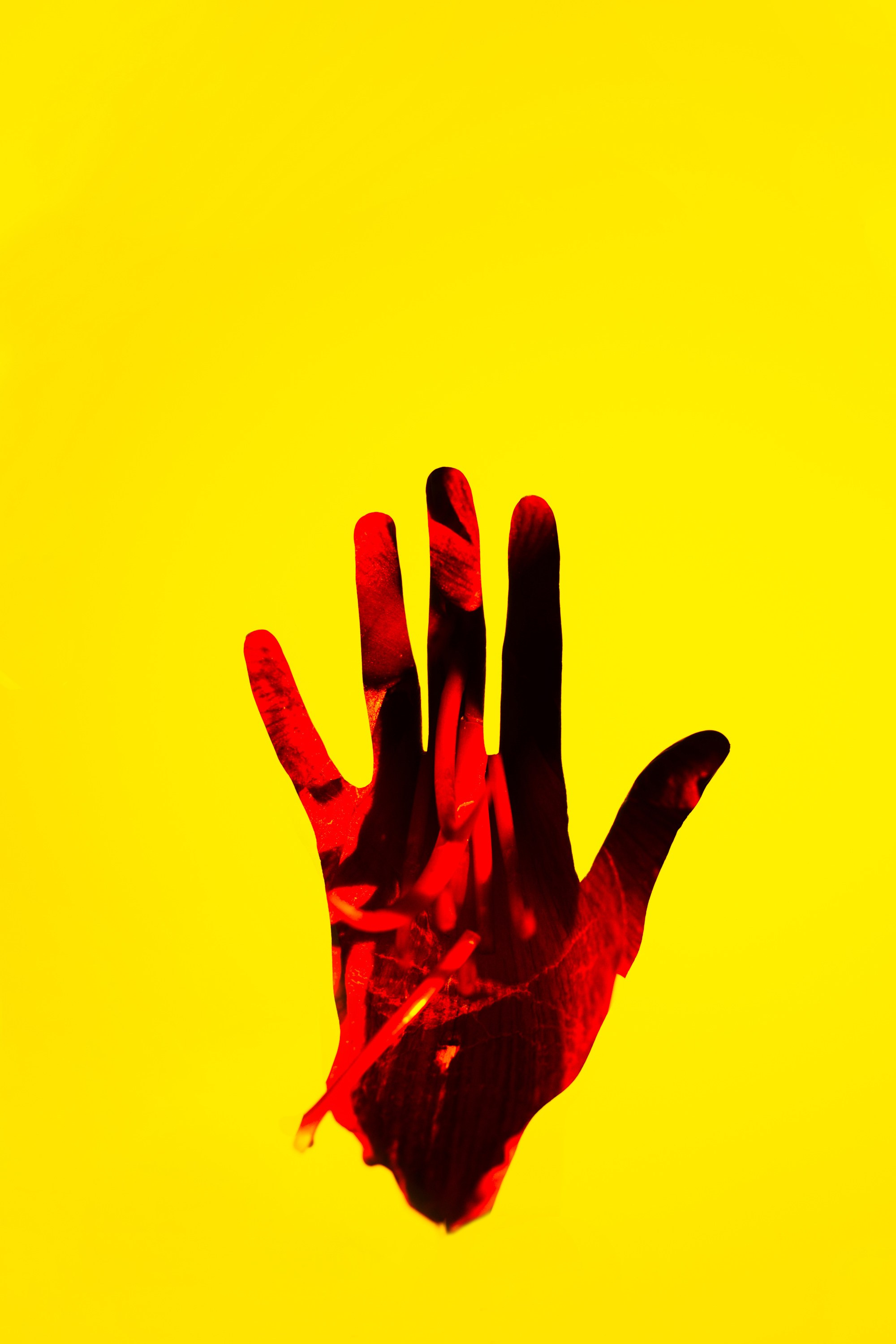 ЦВЕТНОЙ СВЕТ. Фотограф Оля Батист