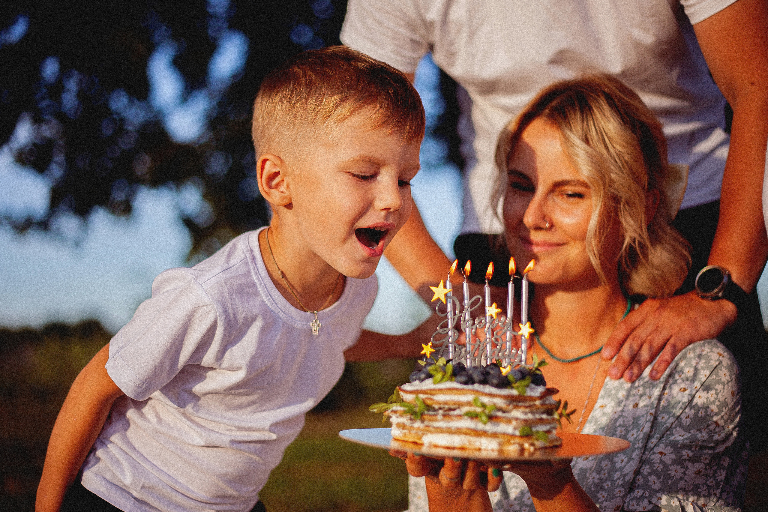 Семья Силяковых на природе, ДР мальчишек. Главная