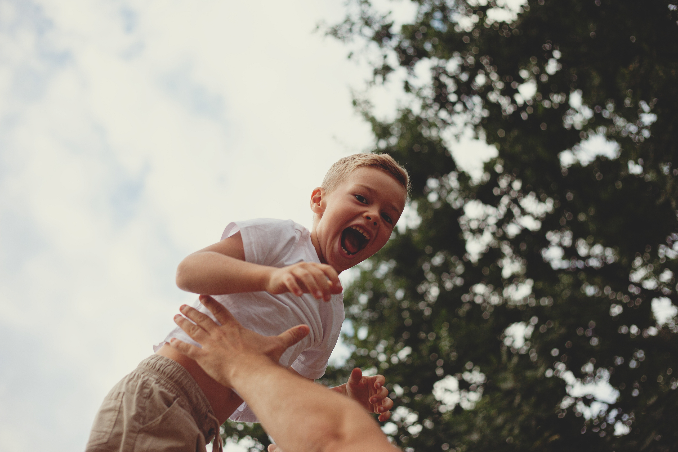 Семья Камневых. Главная