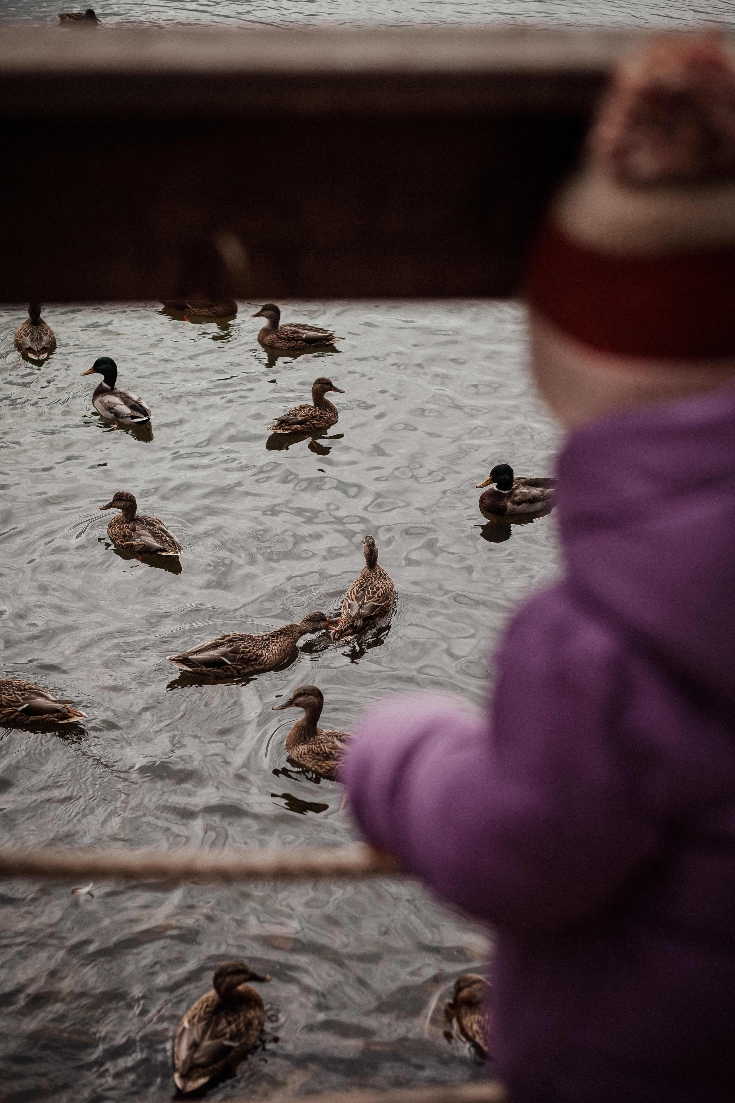 Дмитрий, Вероника и Машенька. Главная