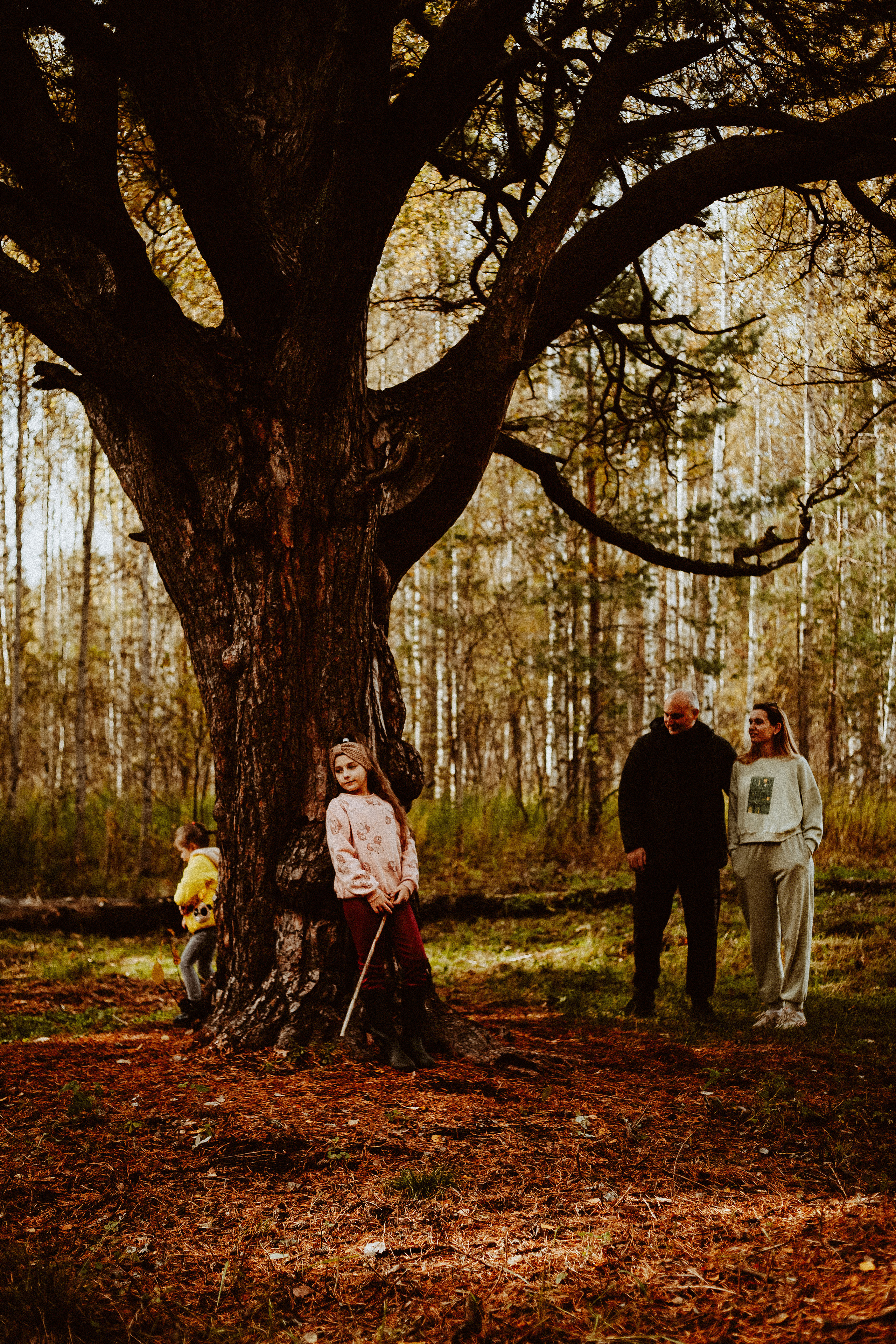 Семья Горбатенко, поездка в деревню. Главная