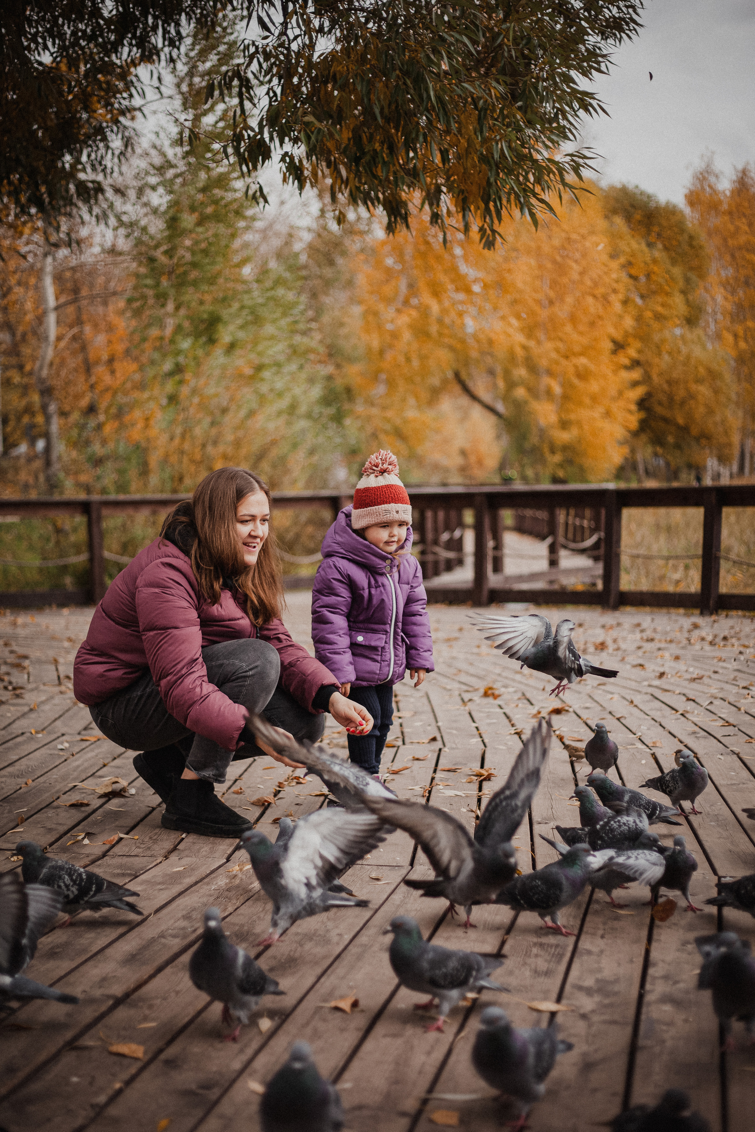 Дмитрий, Вероника и Машенька. Главная