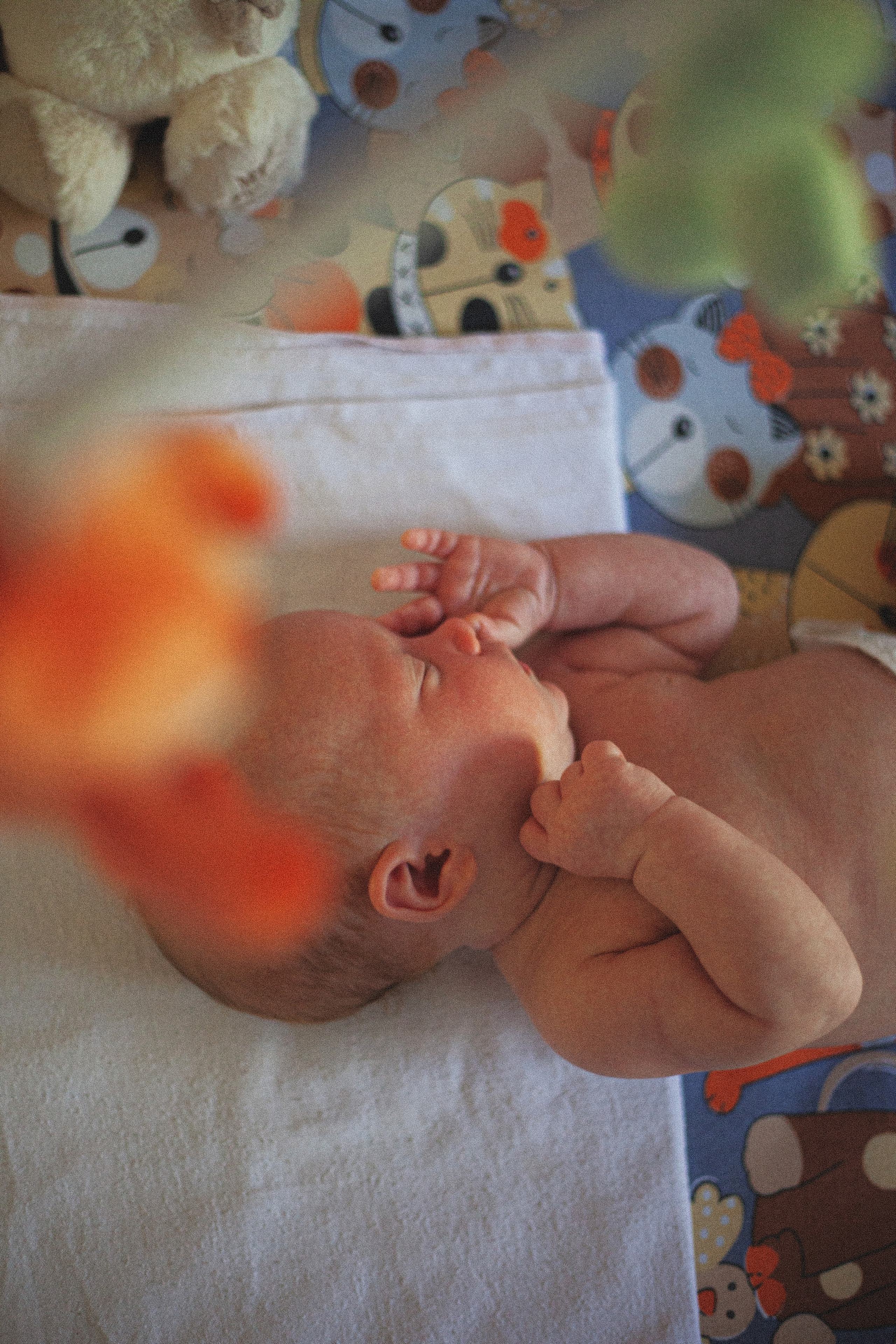 Ксения, Максим и Олеся. Главная