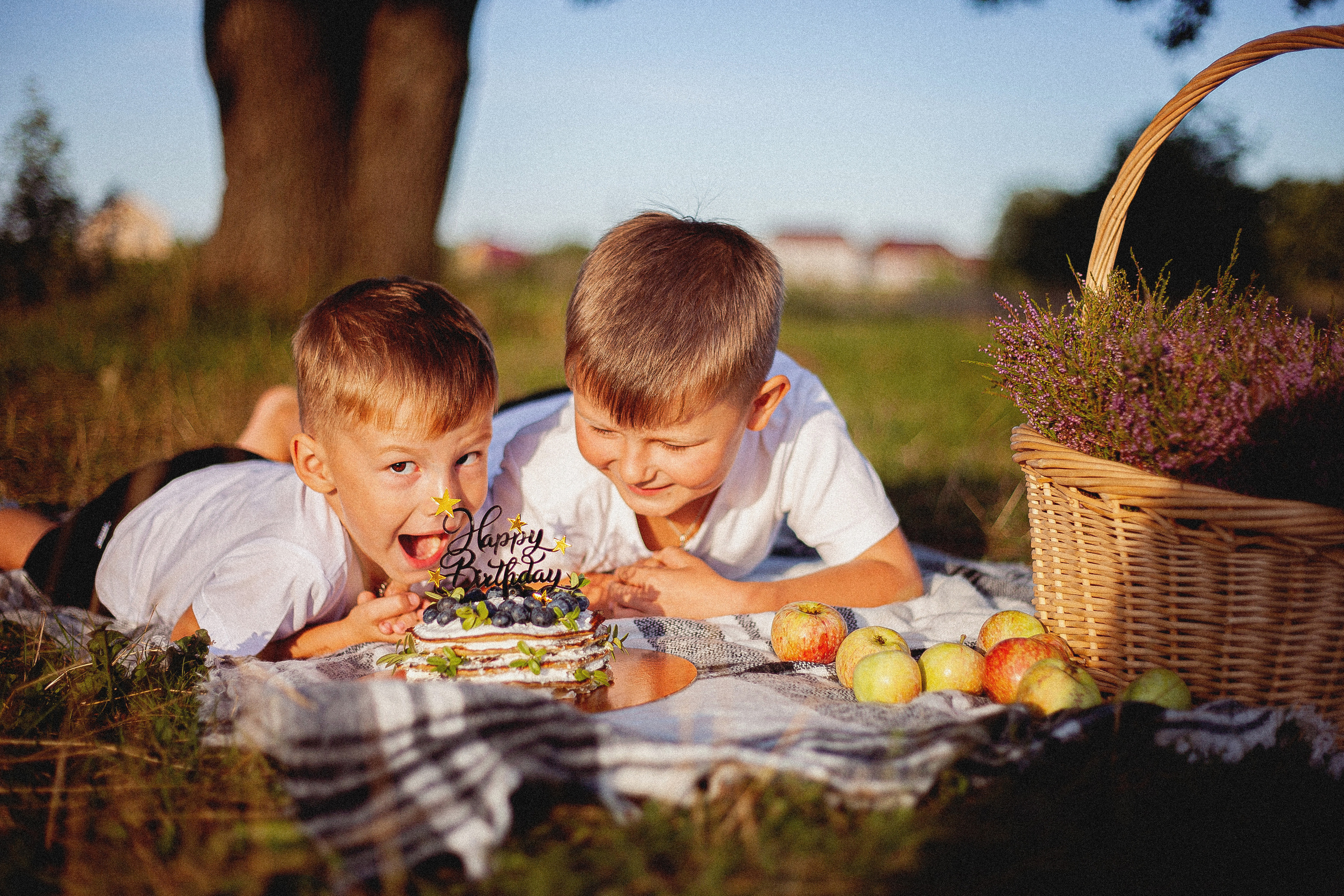 Семья Силяковых на природе, ДР мальчишек. Главная