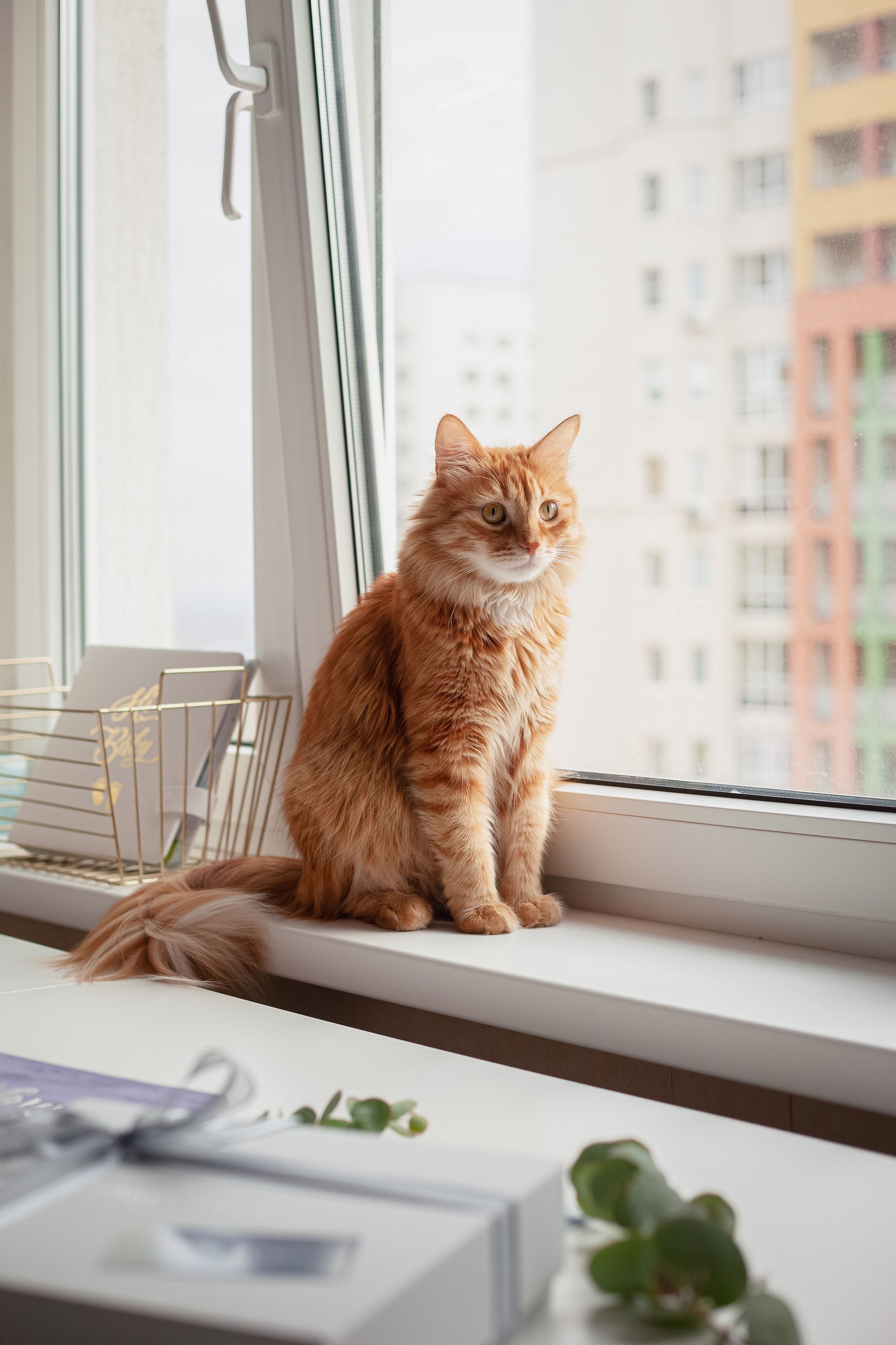 Съемка для бренда фотоальбомов BABY NATRA. Главная