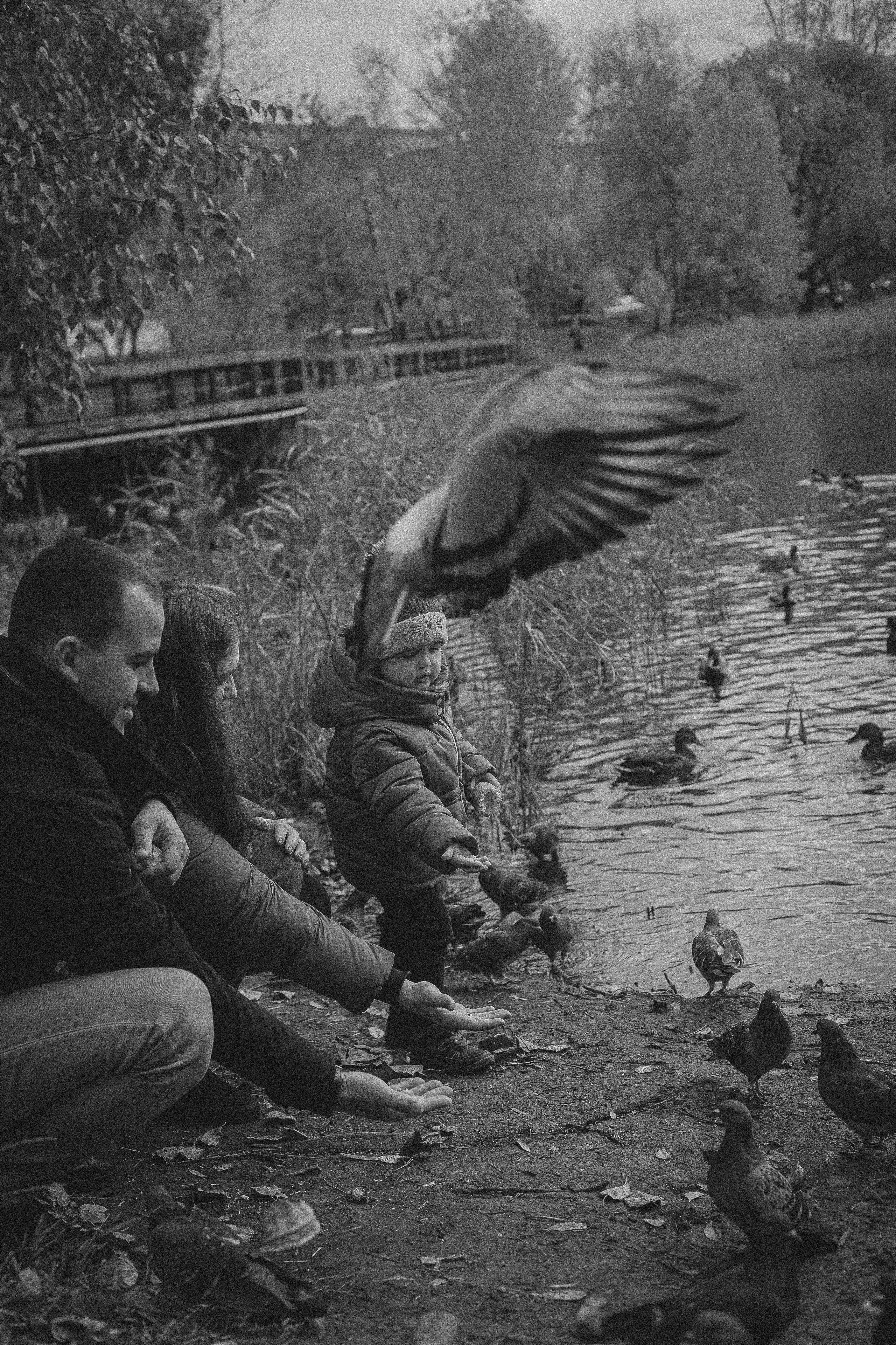 Дмитрий, Вероника и Машенька. Главная