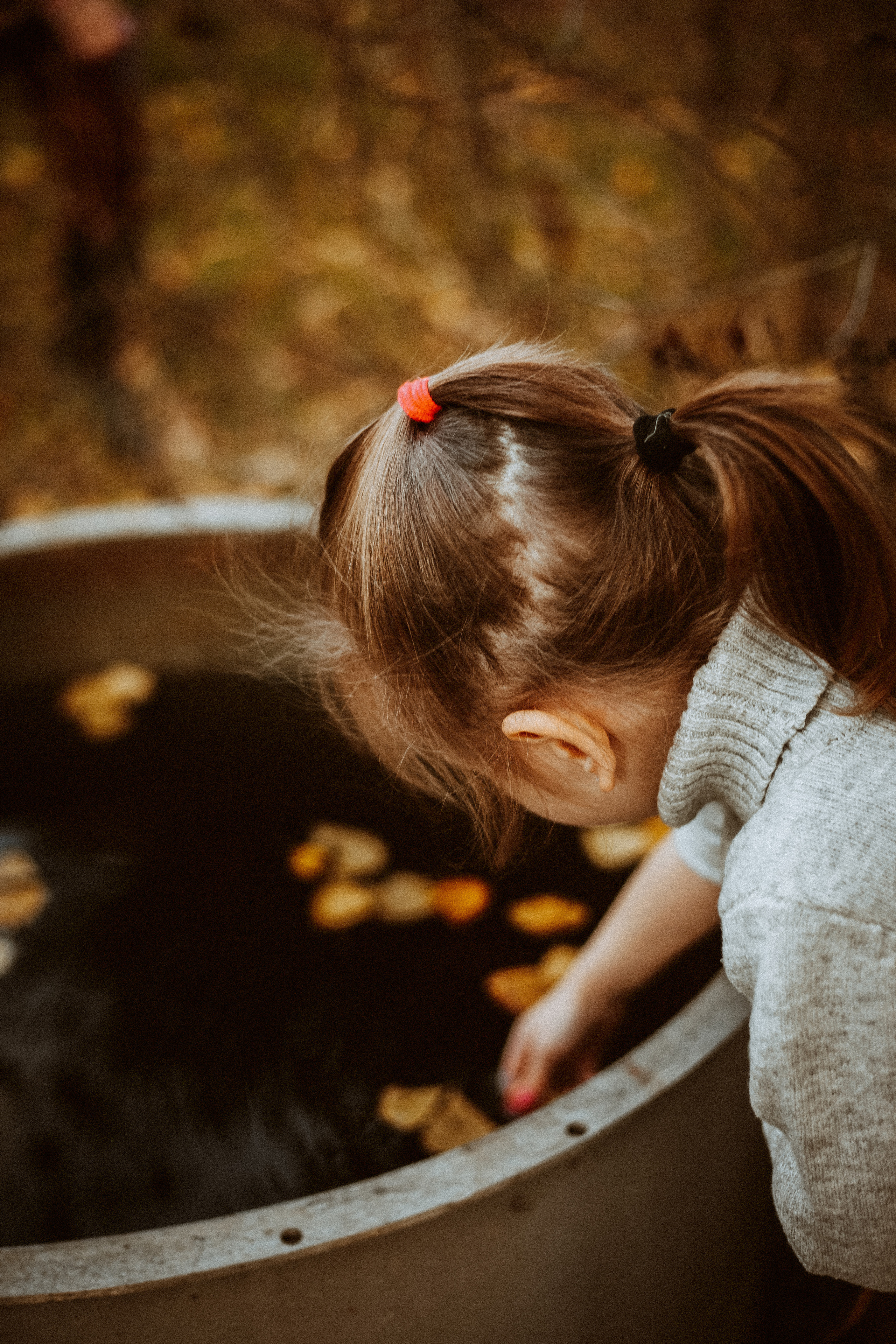 Семья Горбатенко, поездка в деревню. Главная