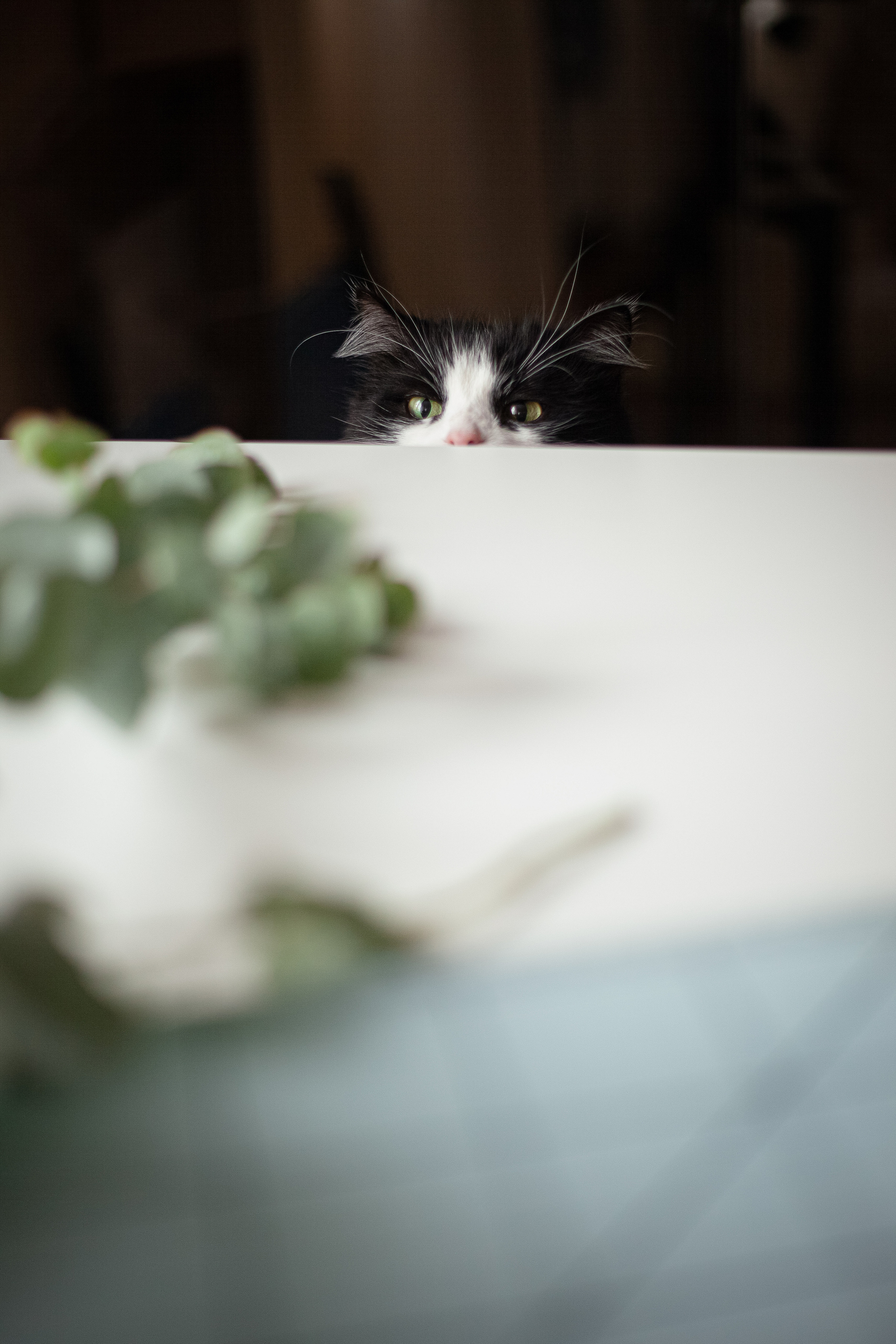 Съемка для бренда фотоальбомов BABY NATRA. Главная