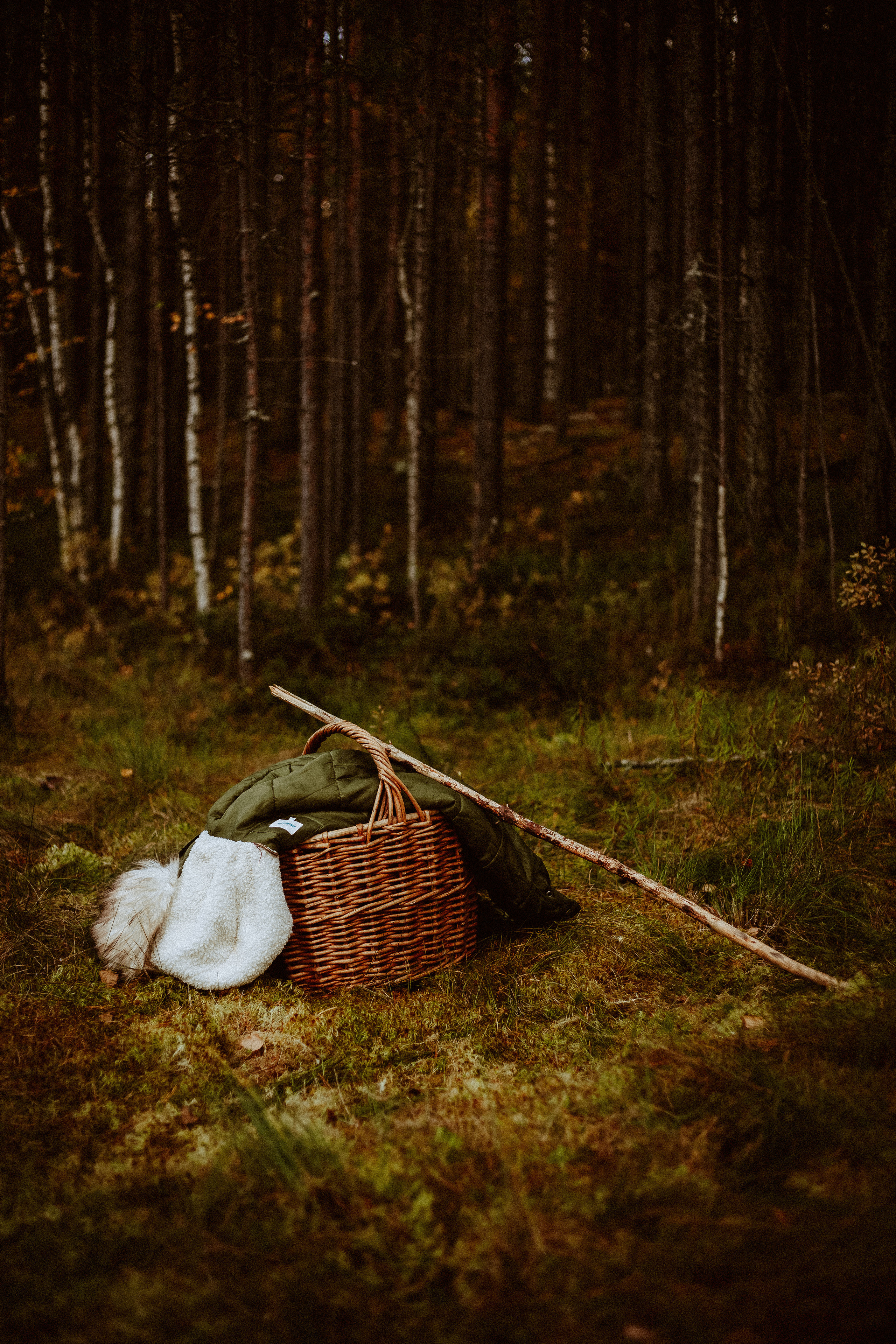 Семья Горбатенко, поездка в деревню. Главная