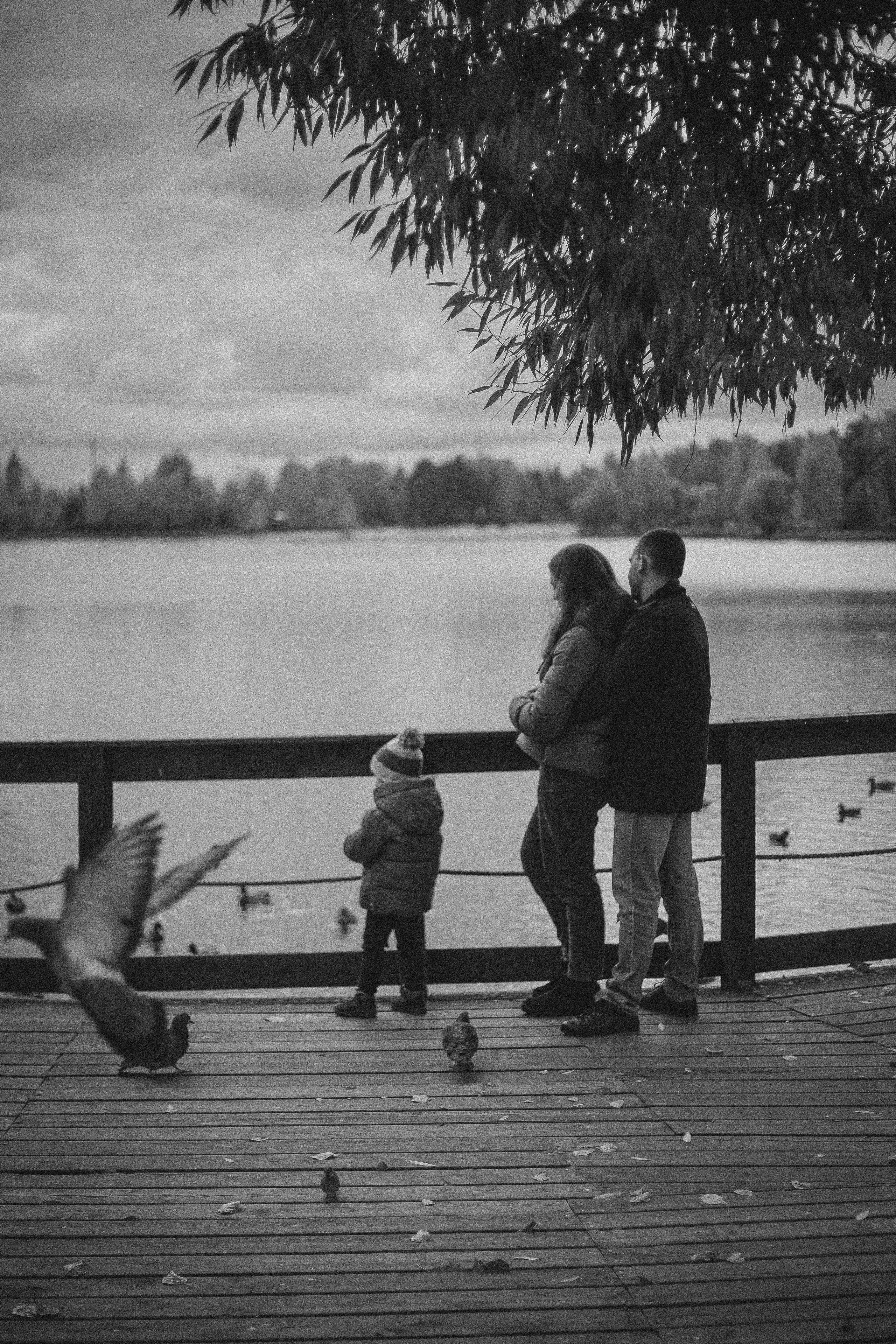 Дмитрий, Вероника и Машенька. Главная