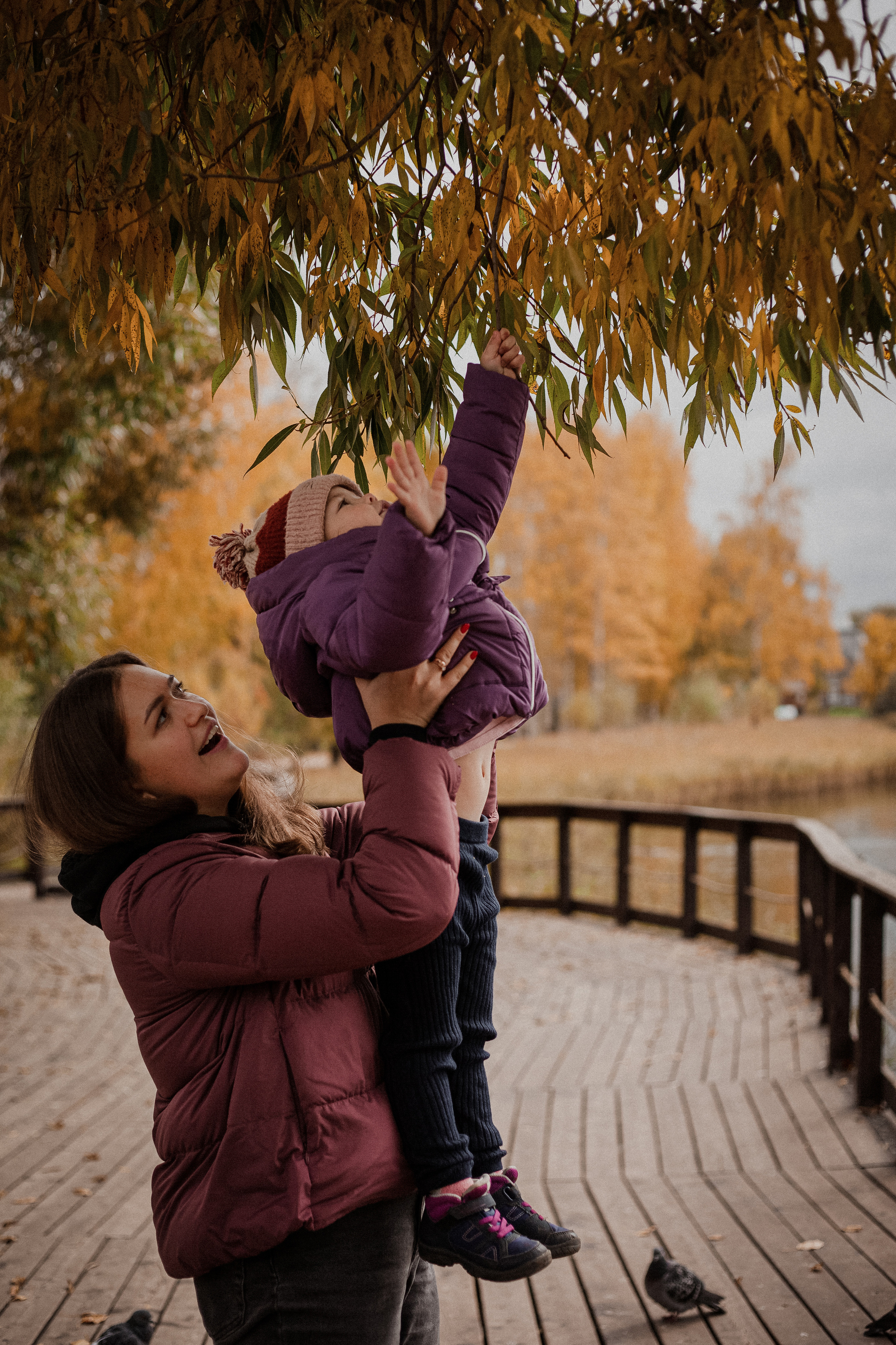Дмитрий, Вероника и Машенька. Главная