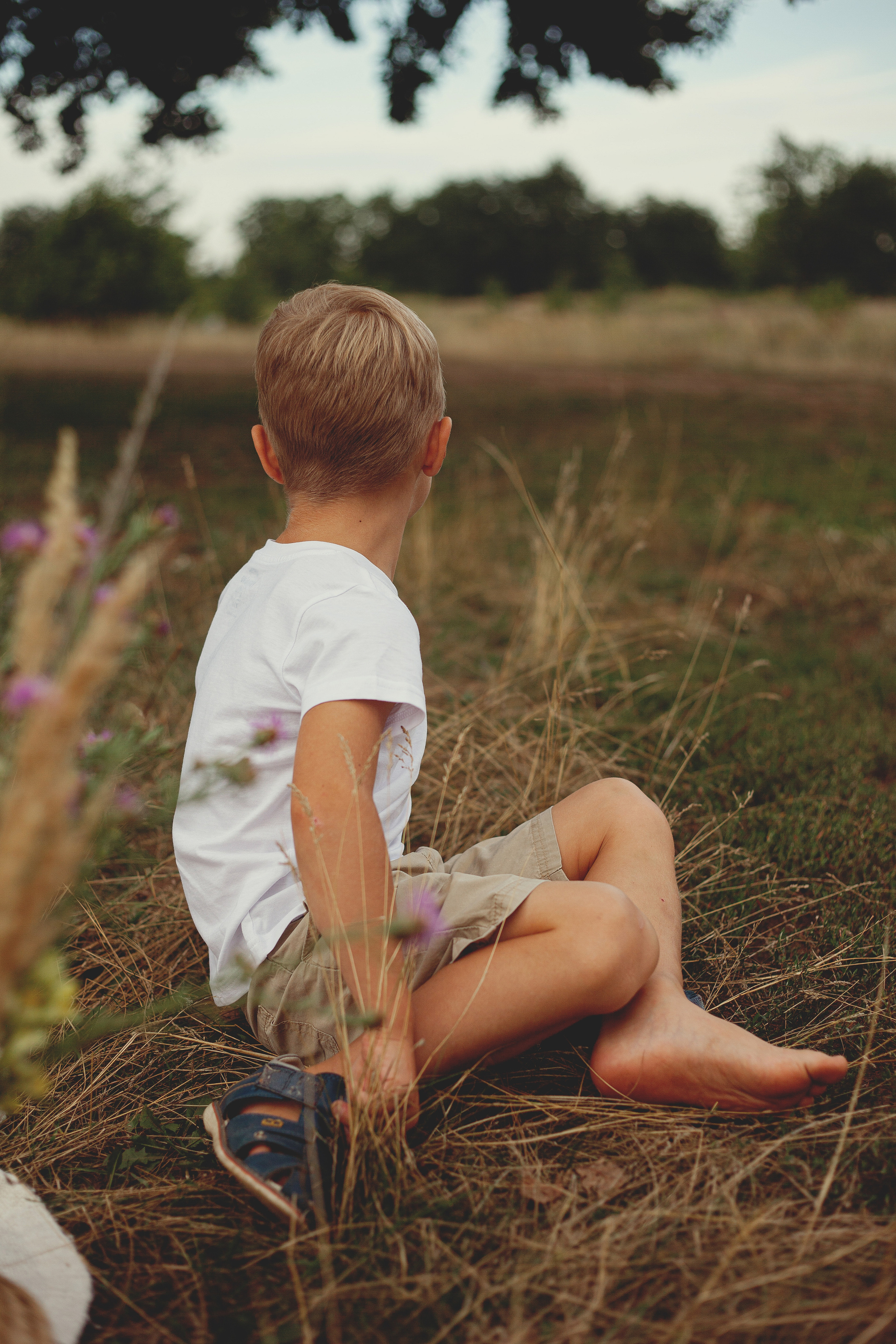 Семья Камневых. Главная