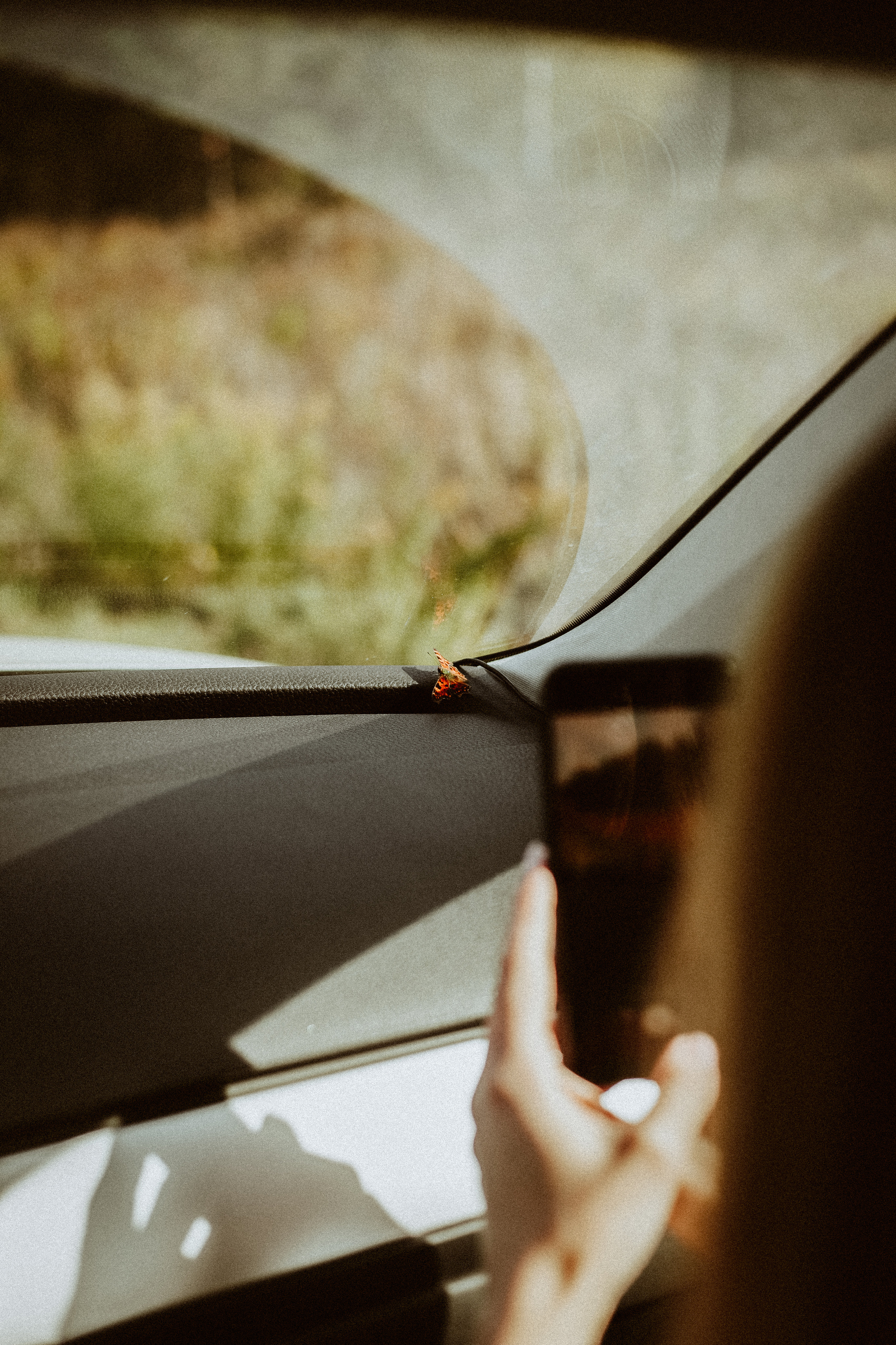 Семья Горбатенко, поездка в деревню. Главная