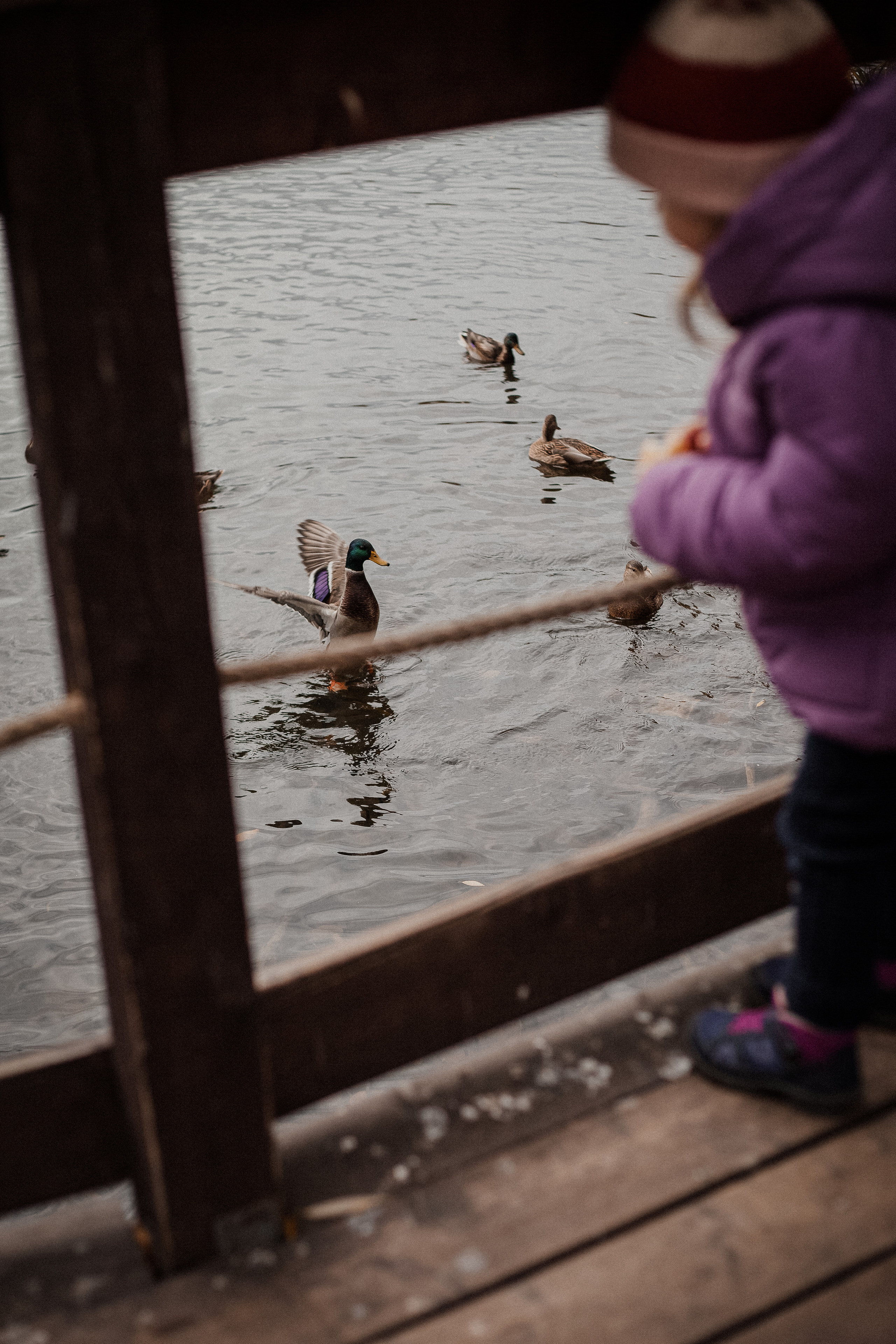 Дмитрий, Вероника и Машенька. Главная