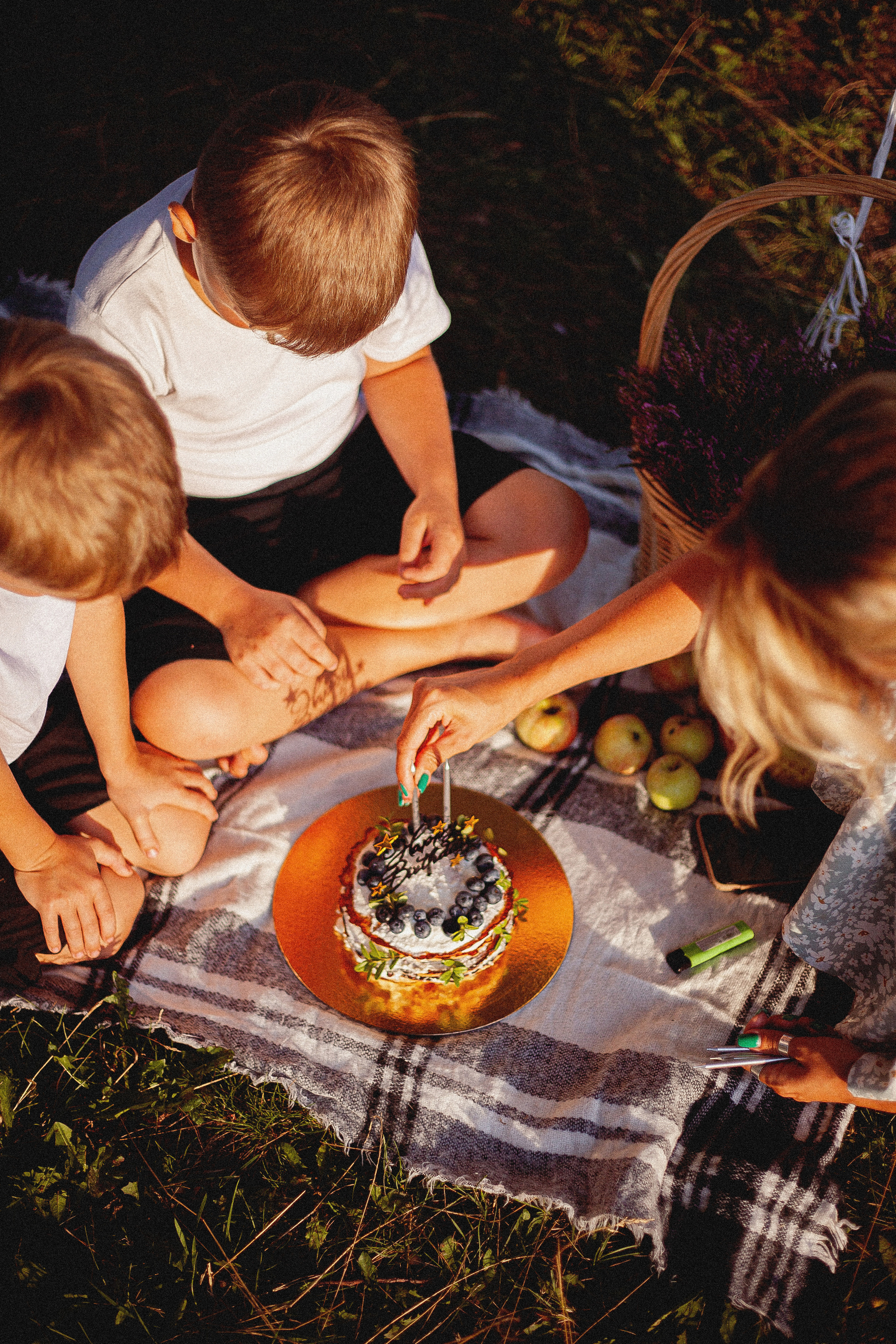 Семья Силяковых на природе, ДР мальчишек. Главная