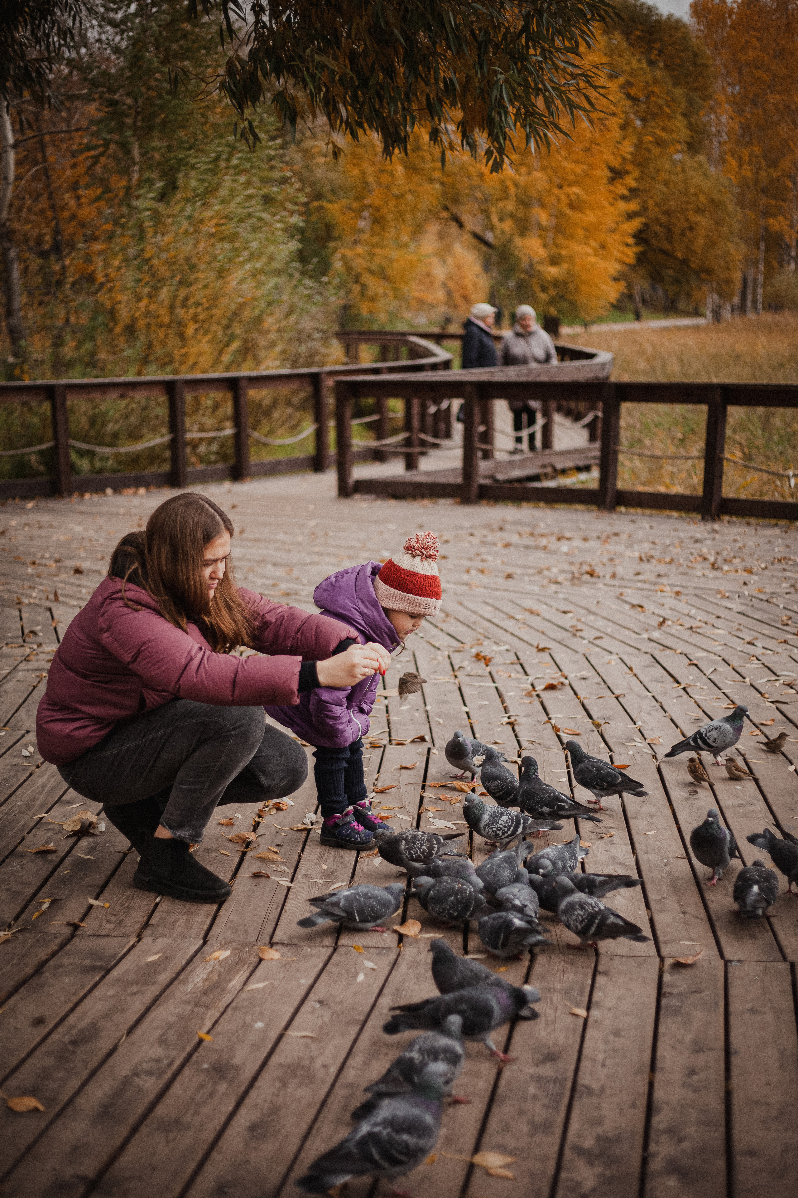 Дмитрий, Вероника и Машенька. Главная