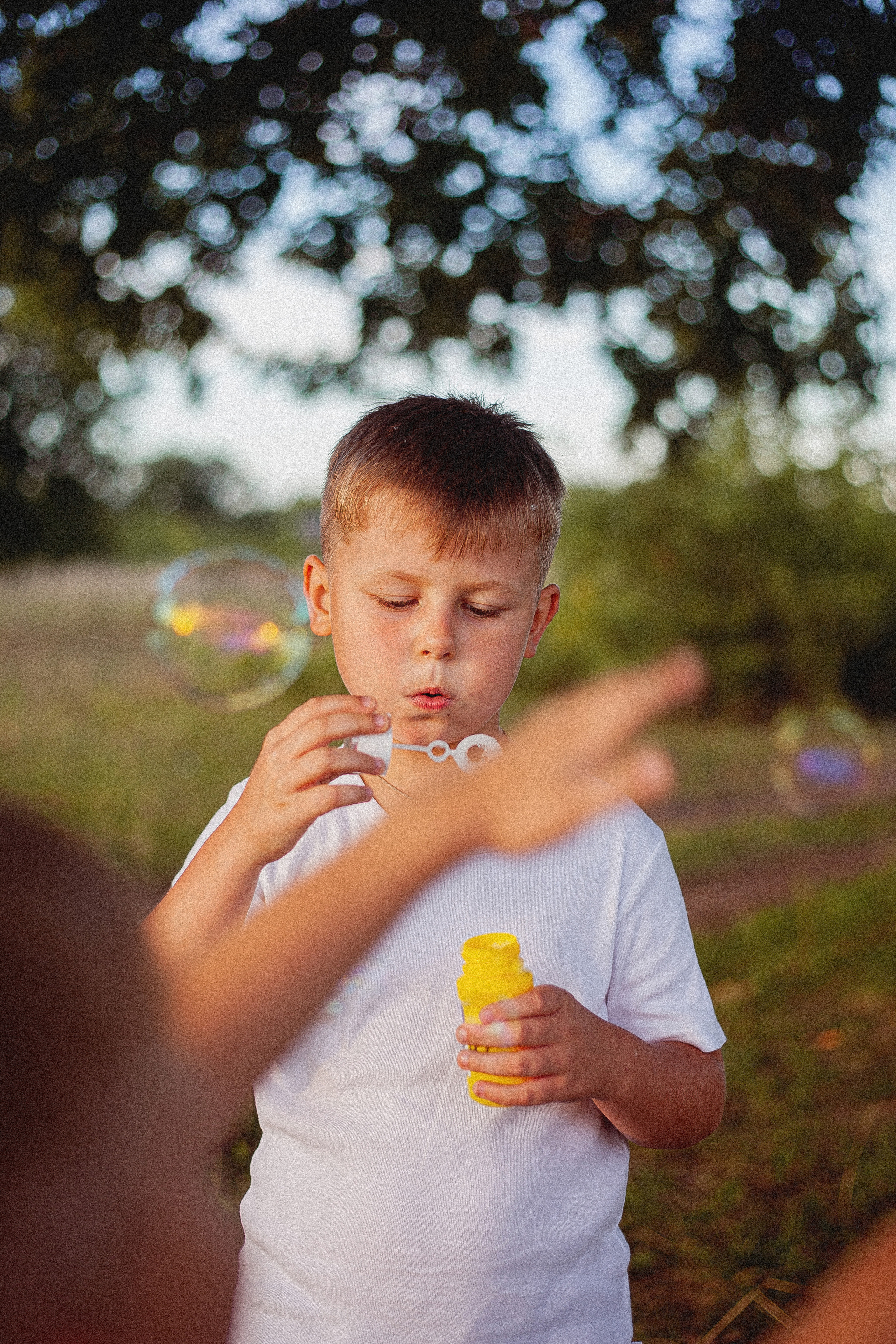 Семья Силяковых на природе, ДР мальчишек. Главная