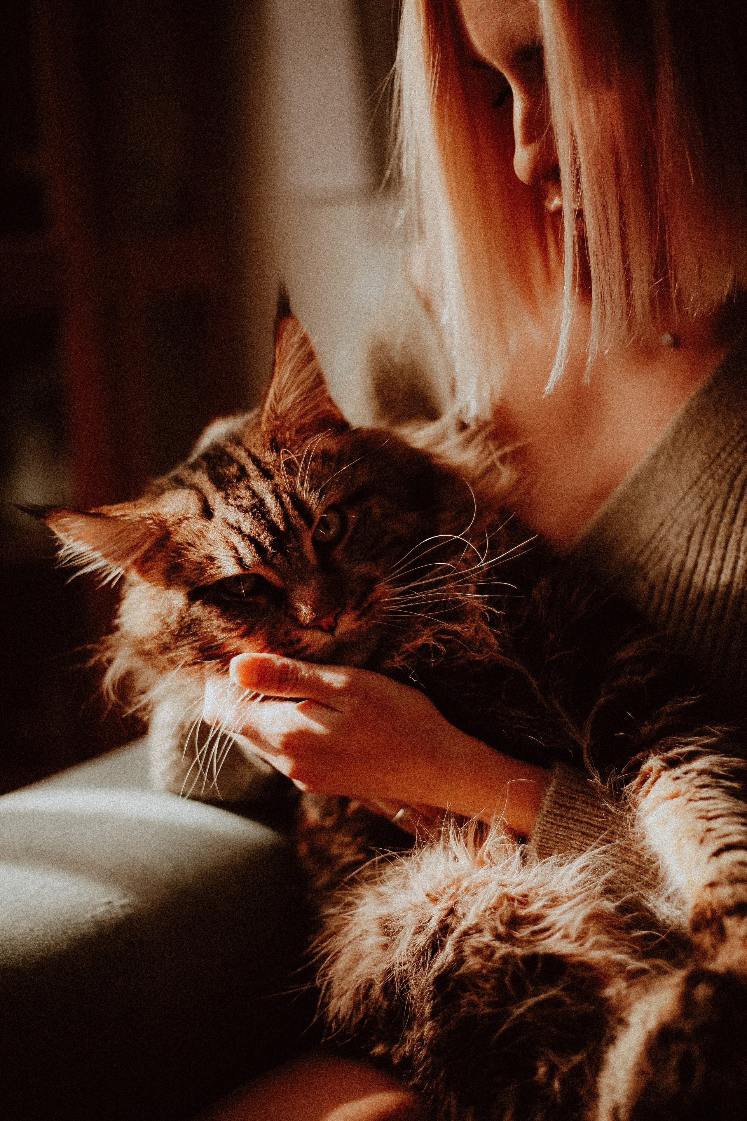 Маргарита, духи и кот. Главная