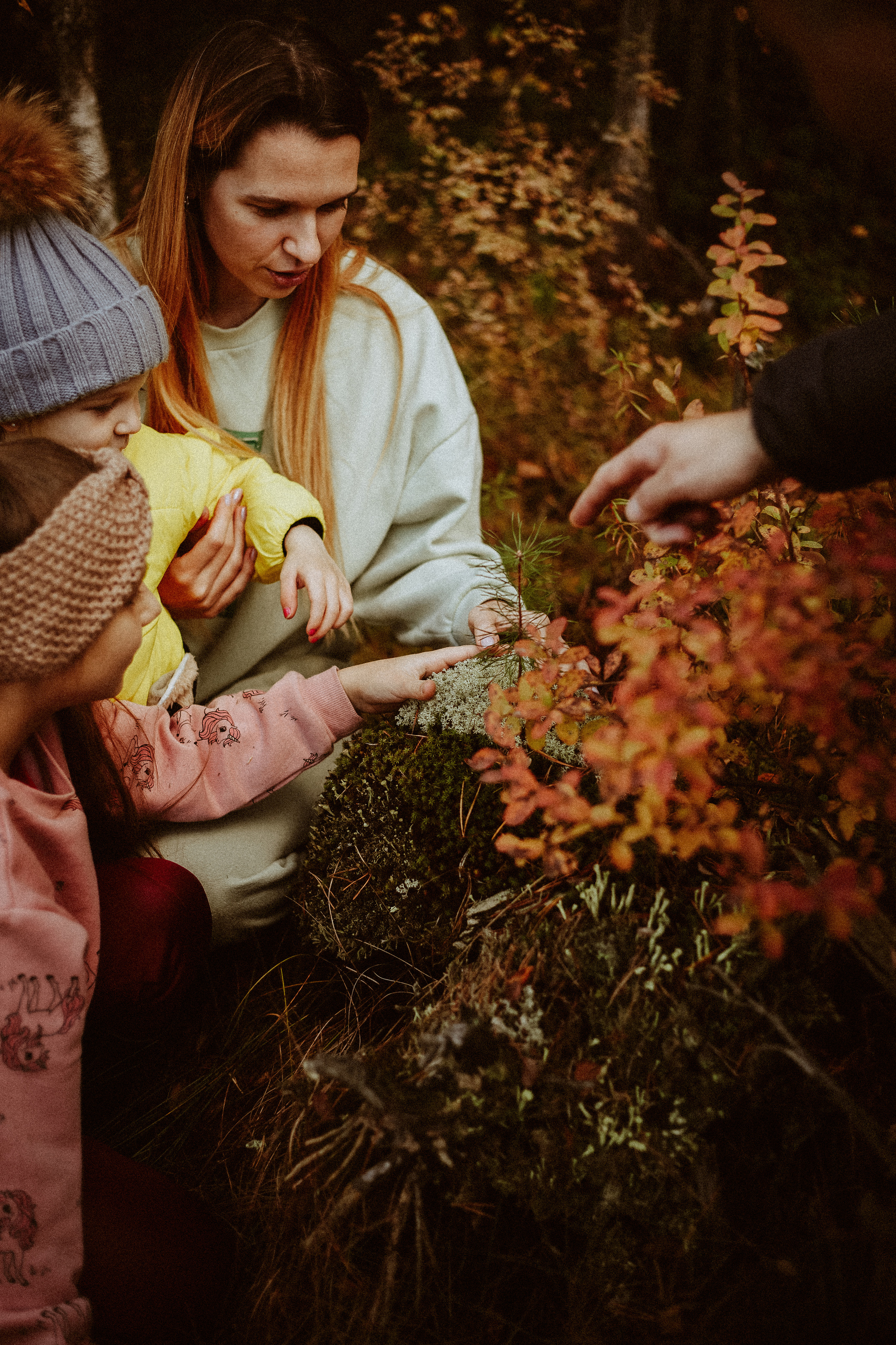 Семья Горбатенко, поездка в деревню. Главная