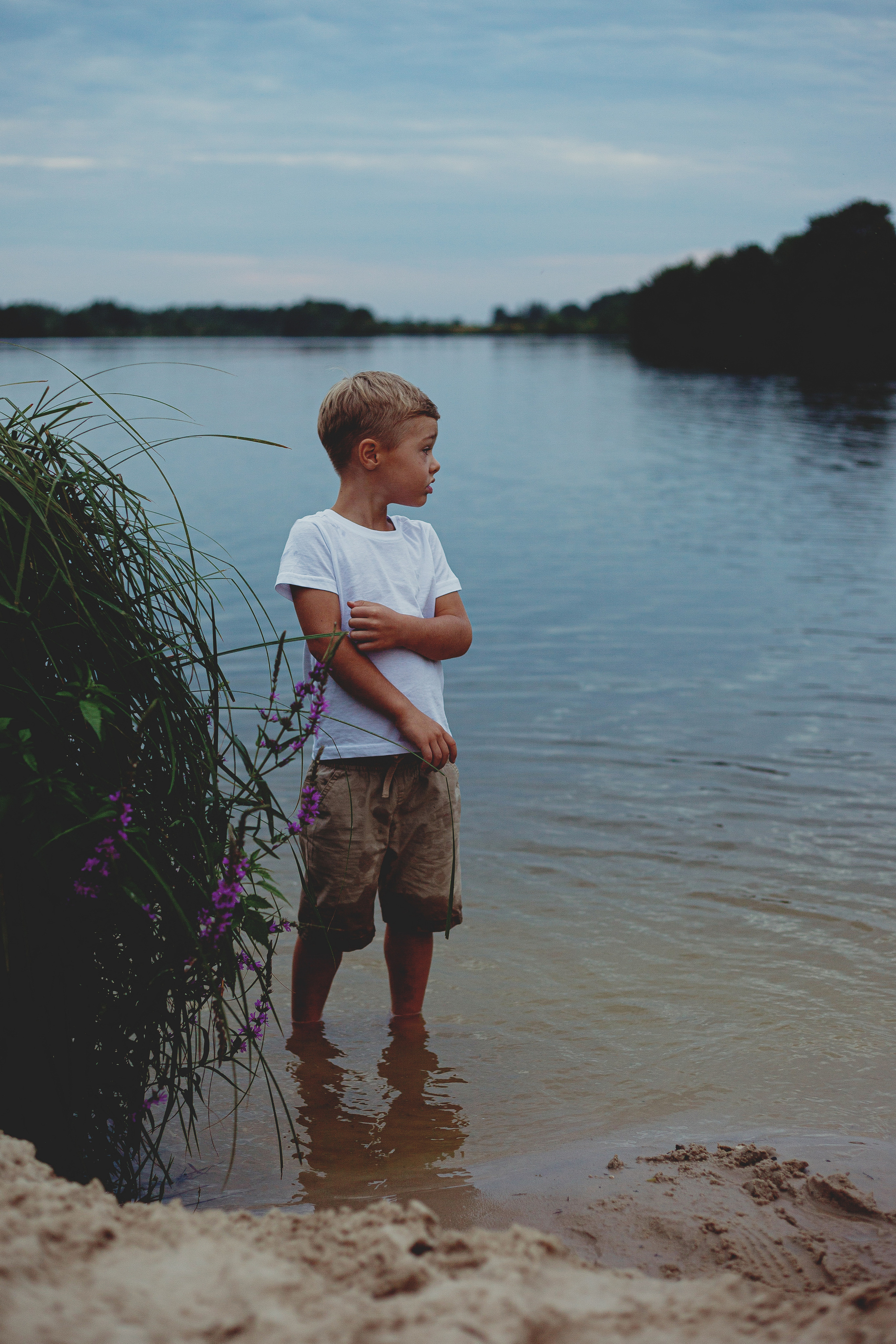 Семья Камневых. Главная