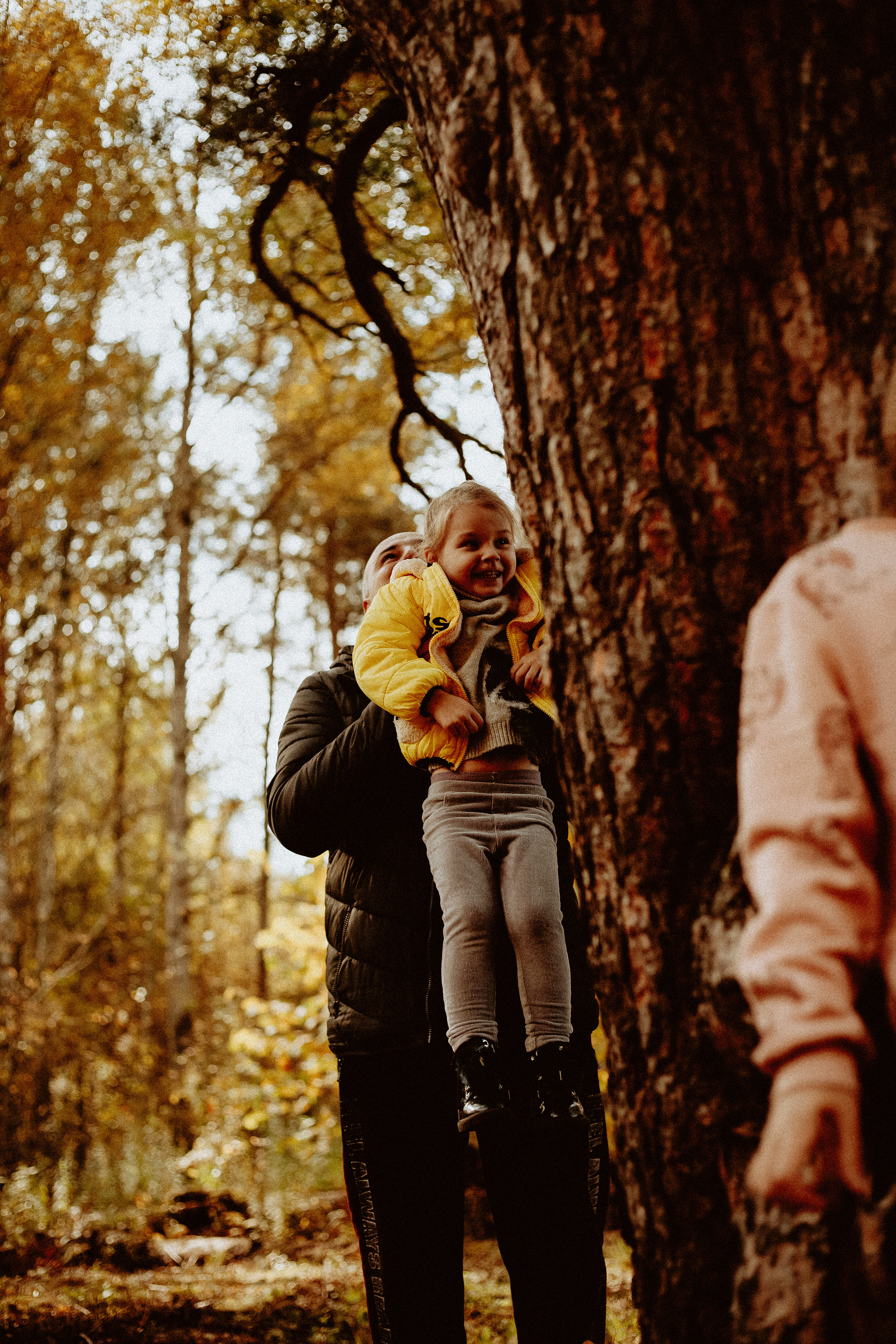 Семья Горбатенко, поездка в деревню. Главная
