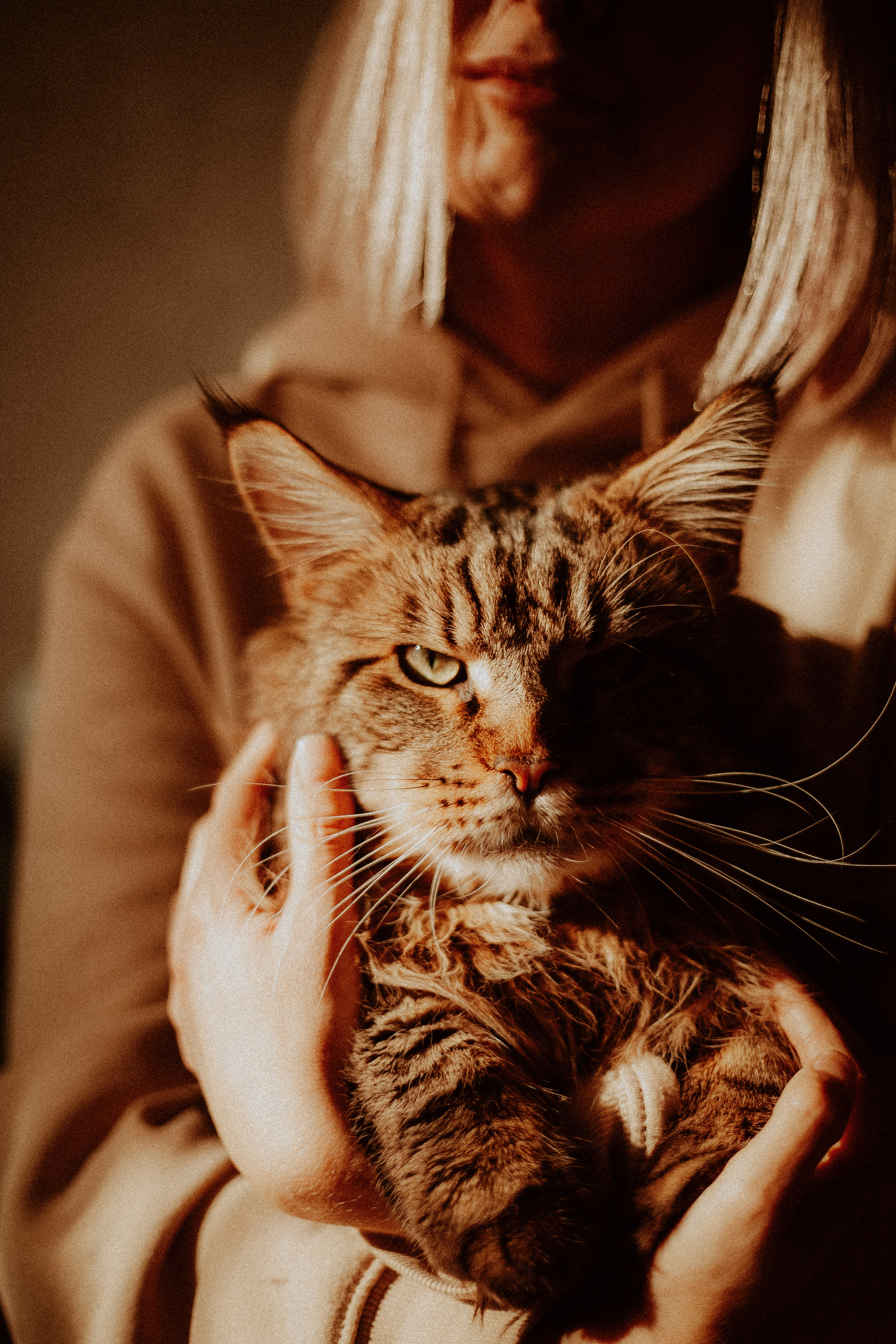 Маргарита, духи и кот. Главная