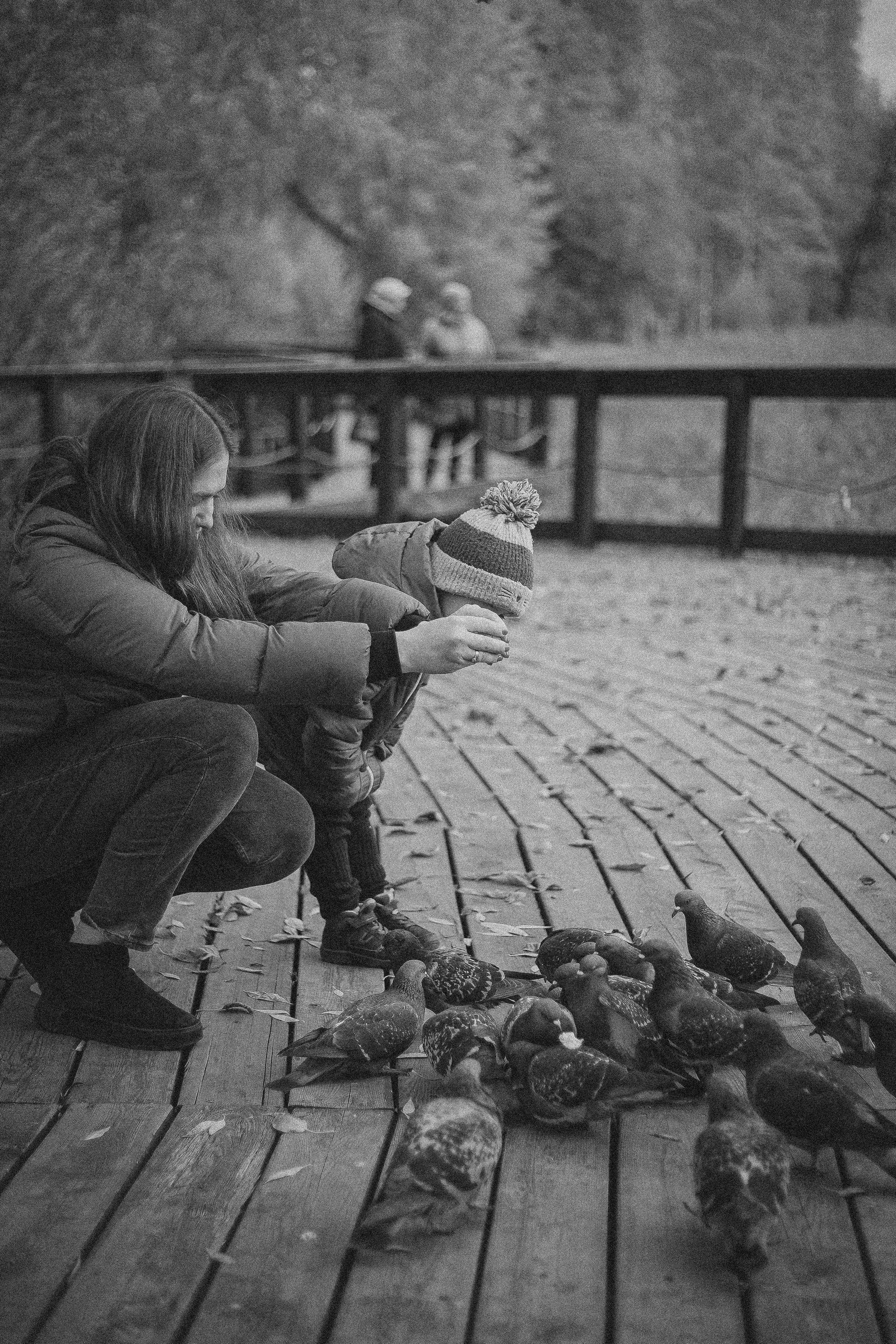 Дмитрий, Вероника и Машенька. Главная