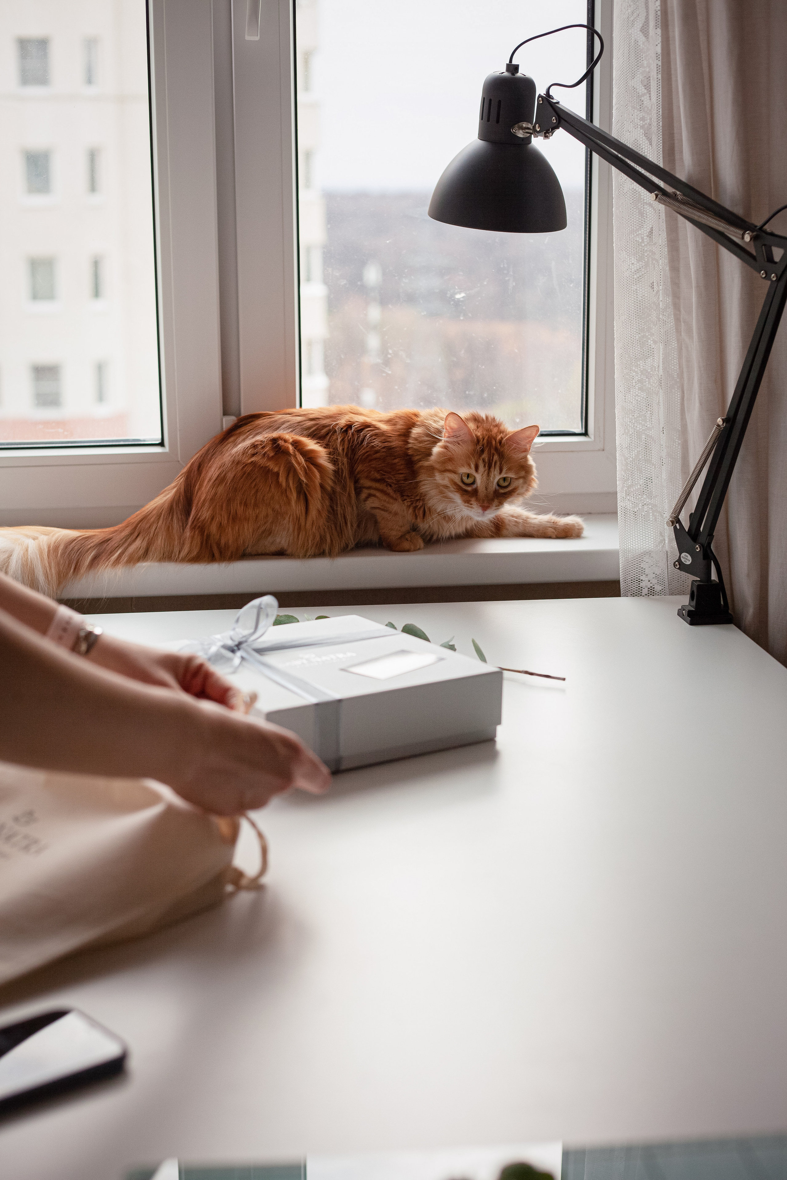 Съемка для бренда фотоальбомов BABY NATRA. Главная