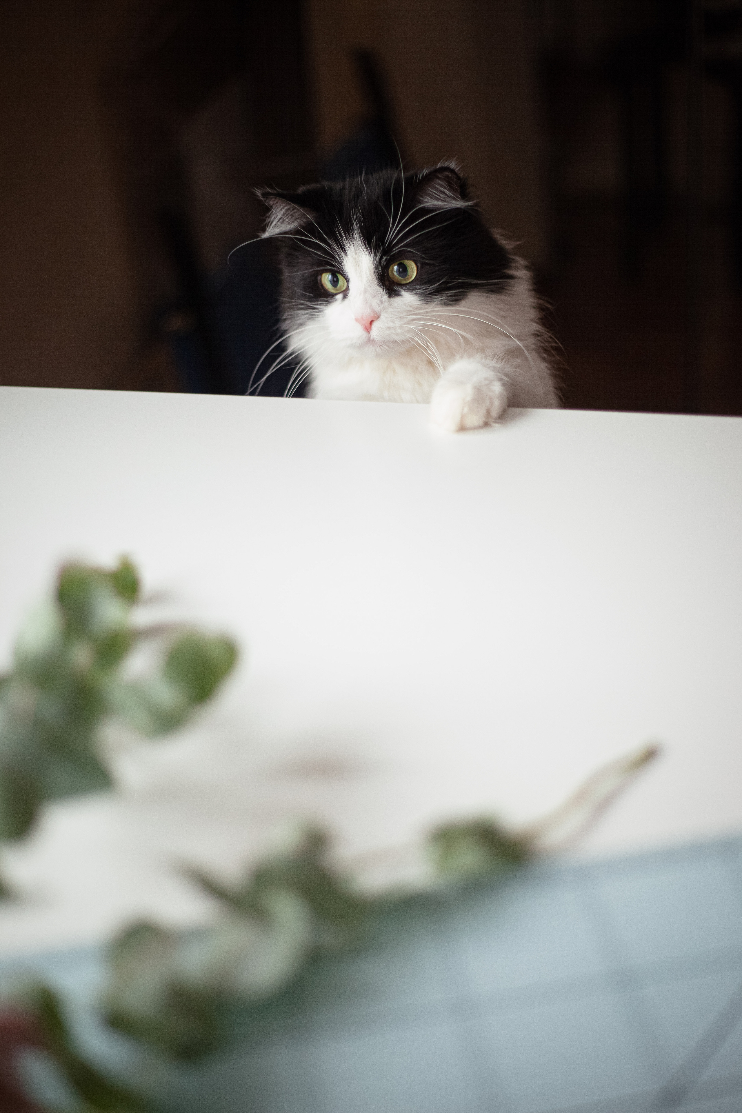 Съемка для бренда фотоальбомов BABY NATRA. Главная