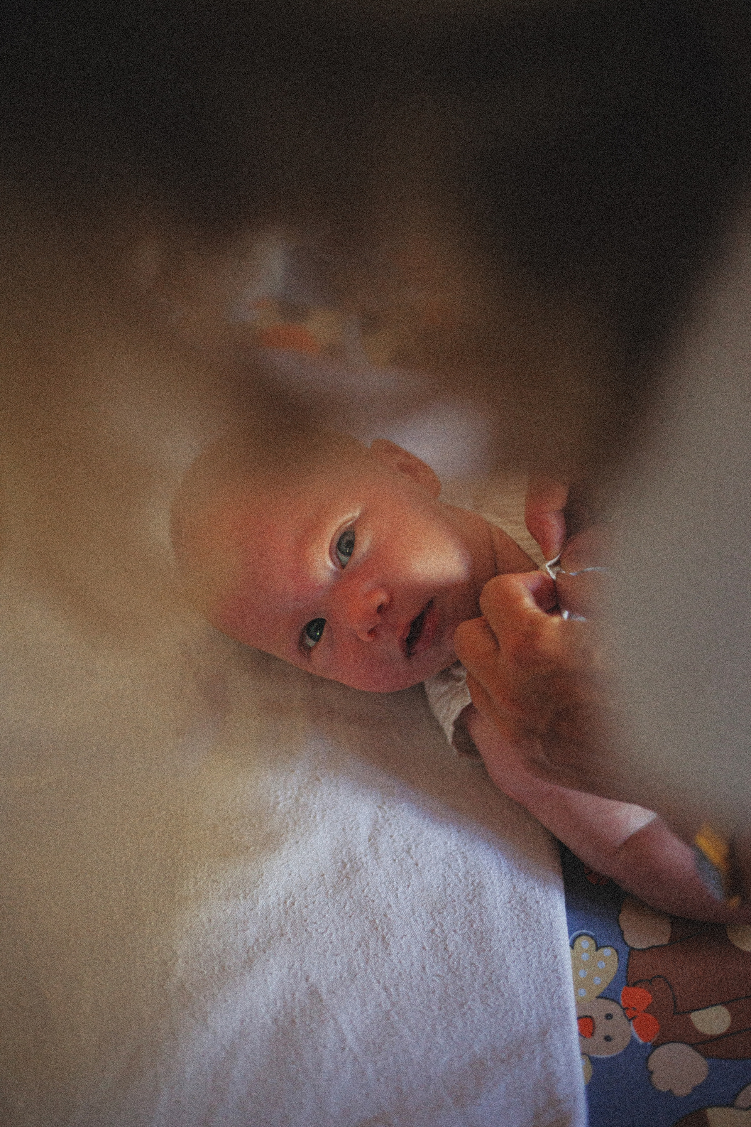 Ксения, Максим и Олеся. Главная