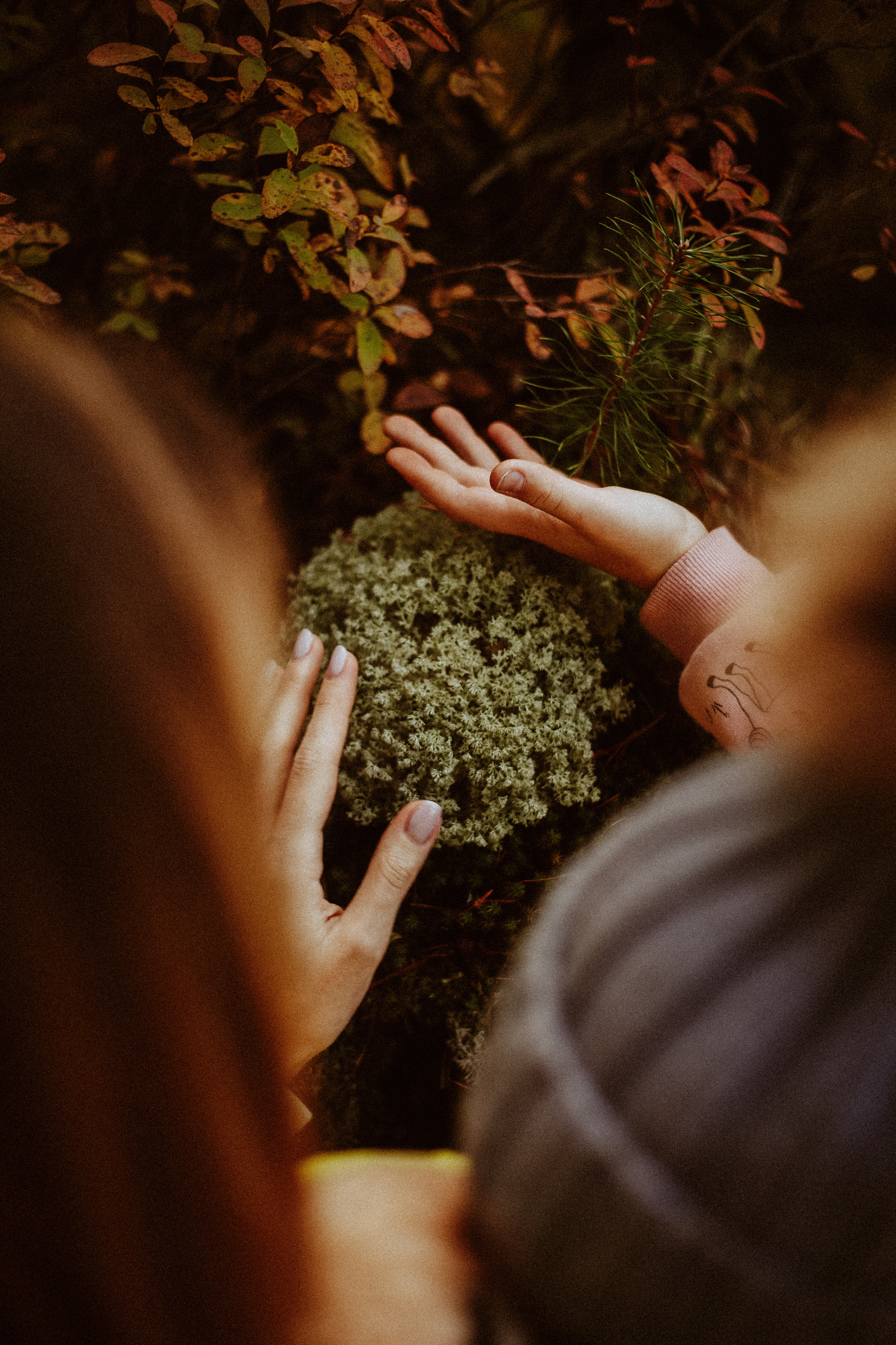 Семья Горбатенко, поездка в деревню. Главная