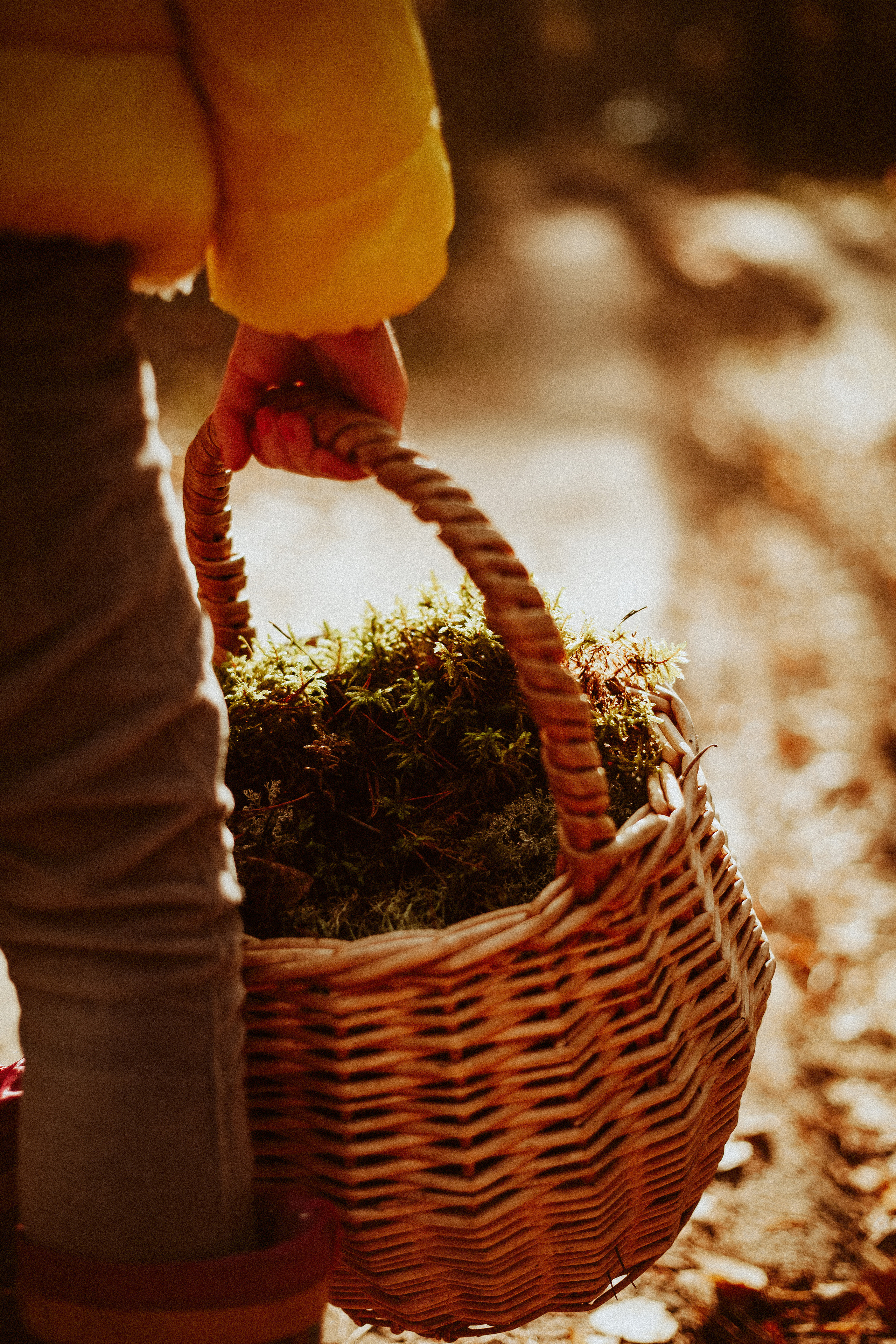 Семья Горбатенко, поездка в деревню. Главная