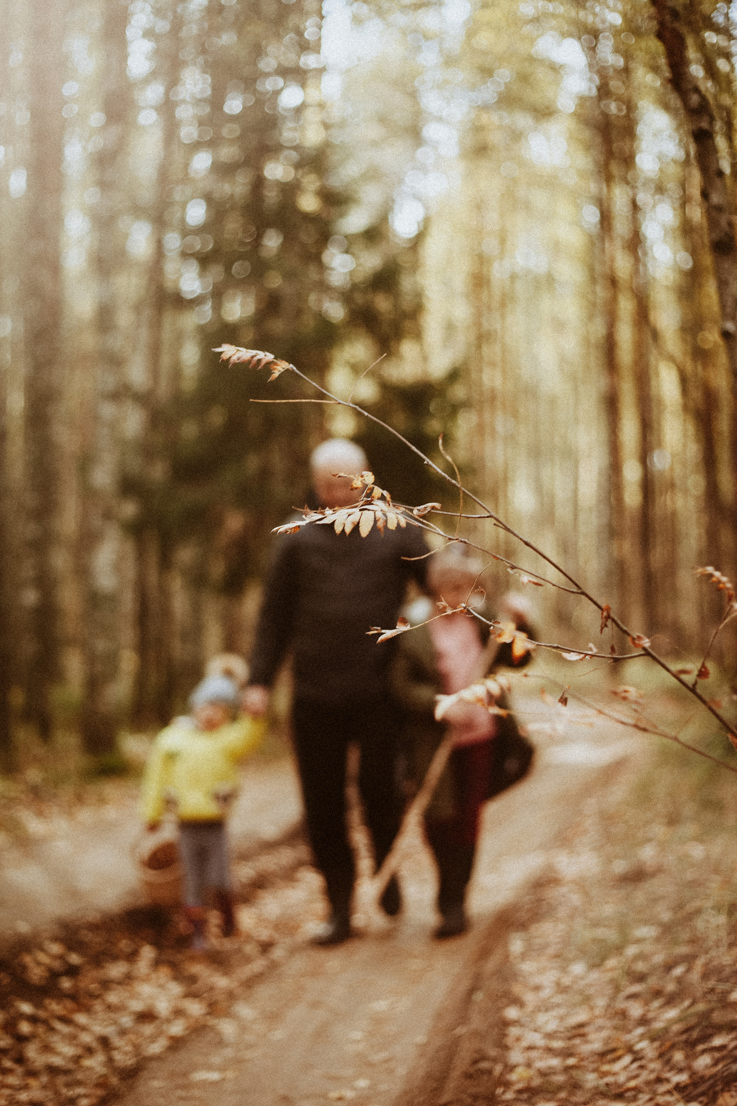 Семья Горбатенко, поездка в деревню. Главная