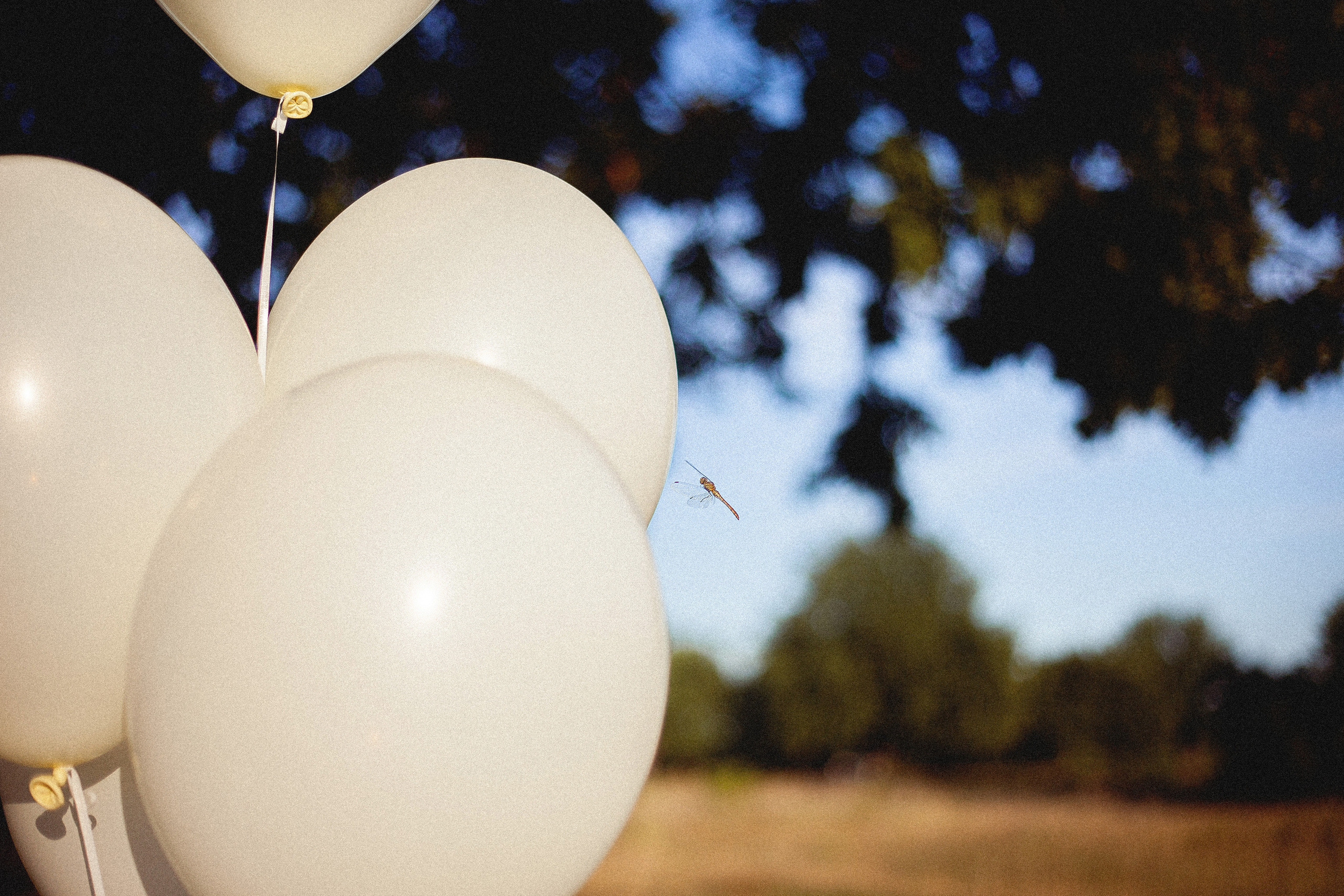 Семья Силяковых на природе, ДР мальчишек. Главная