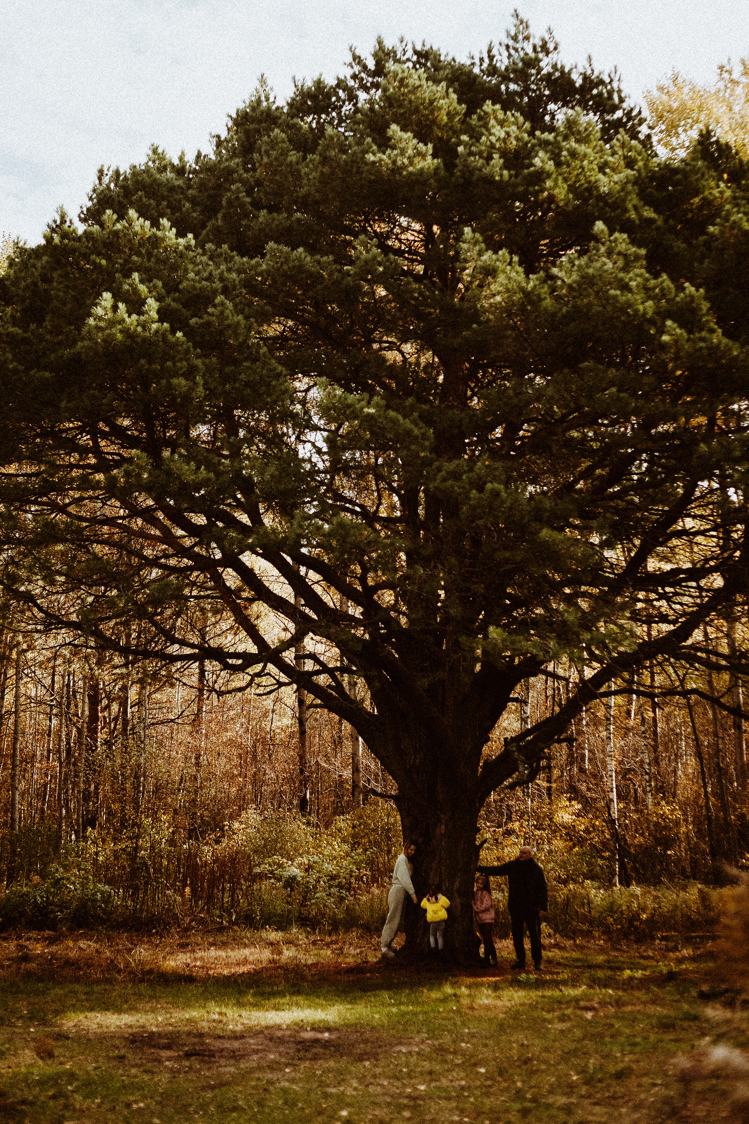 Семья Горбатенко, поездка в деревню. Главная