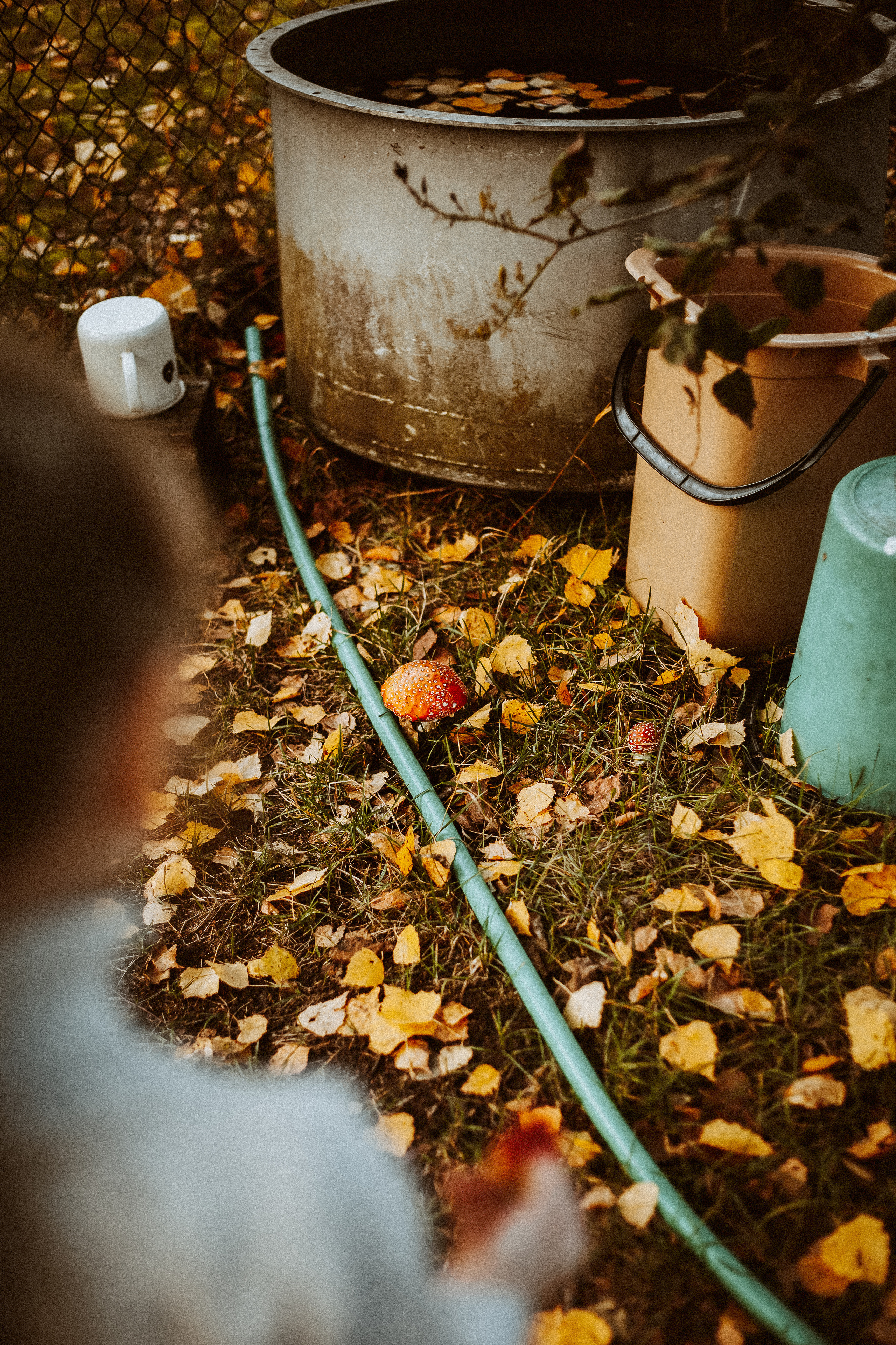 Семья Горбатенко, поездка в деревню. Главная