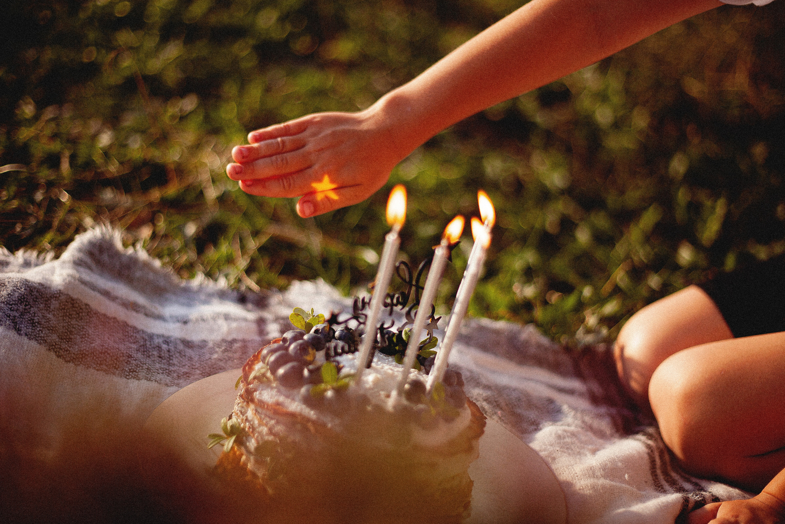 Семья Силяковых на природе, ДР мальчишек. Главная